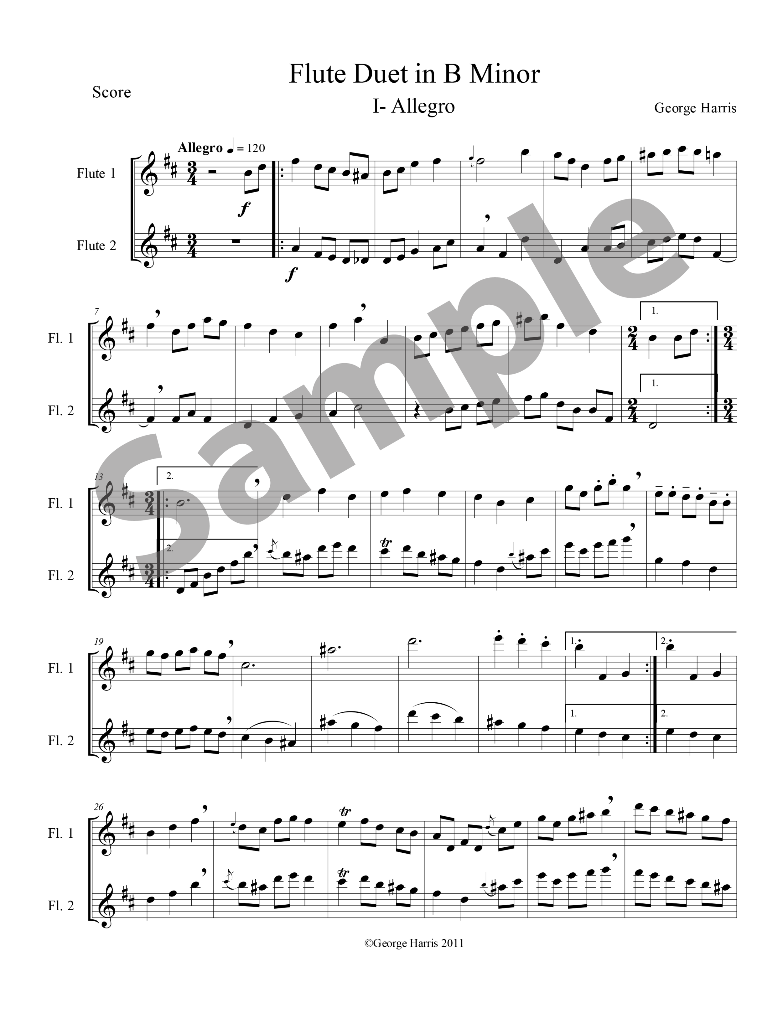 Flute Duet in B Minor - Sample.png