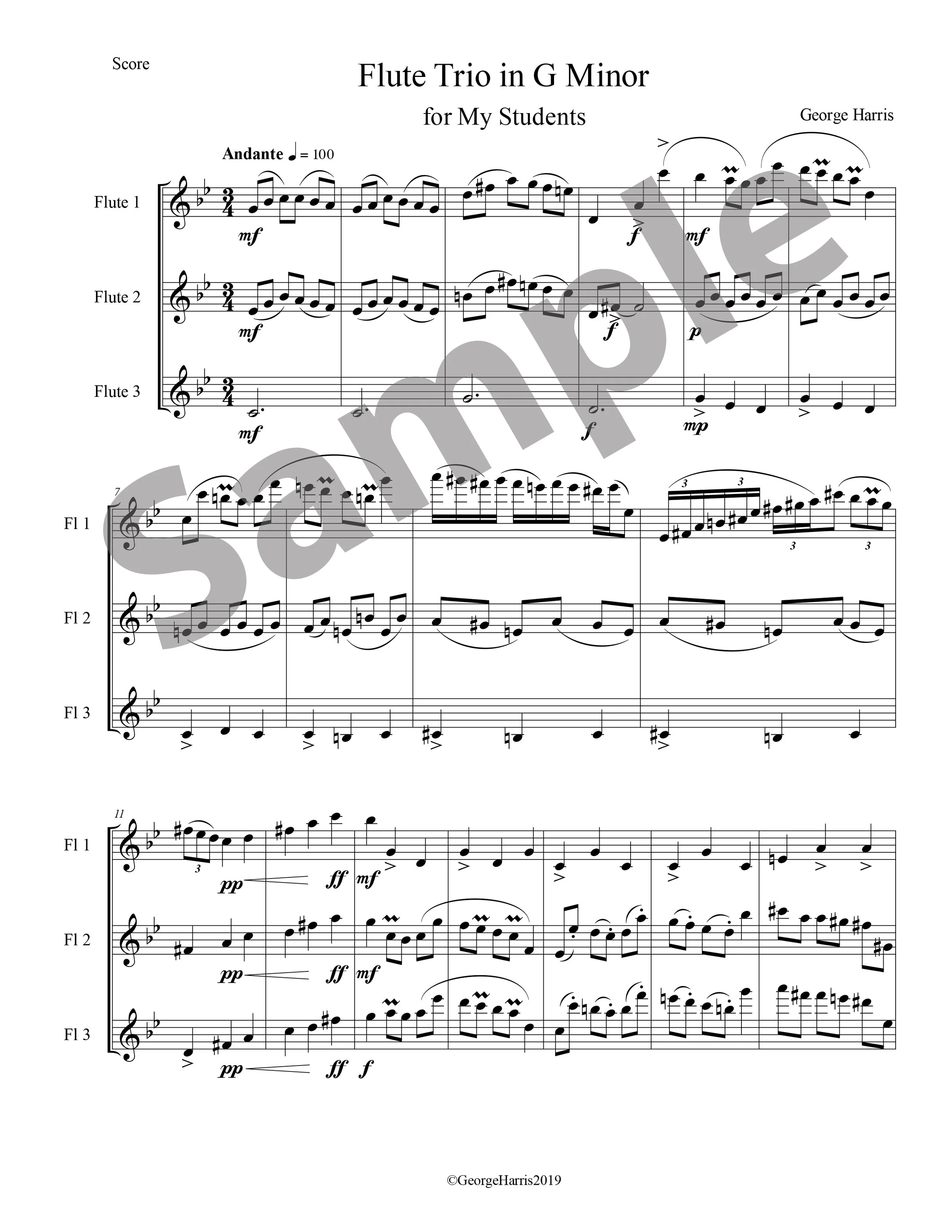 Flute Trio in G Minor - Sample.jpg