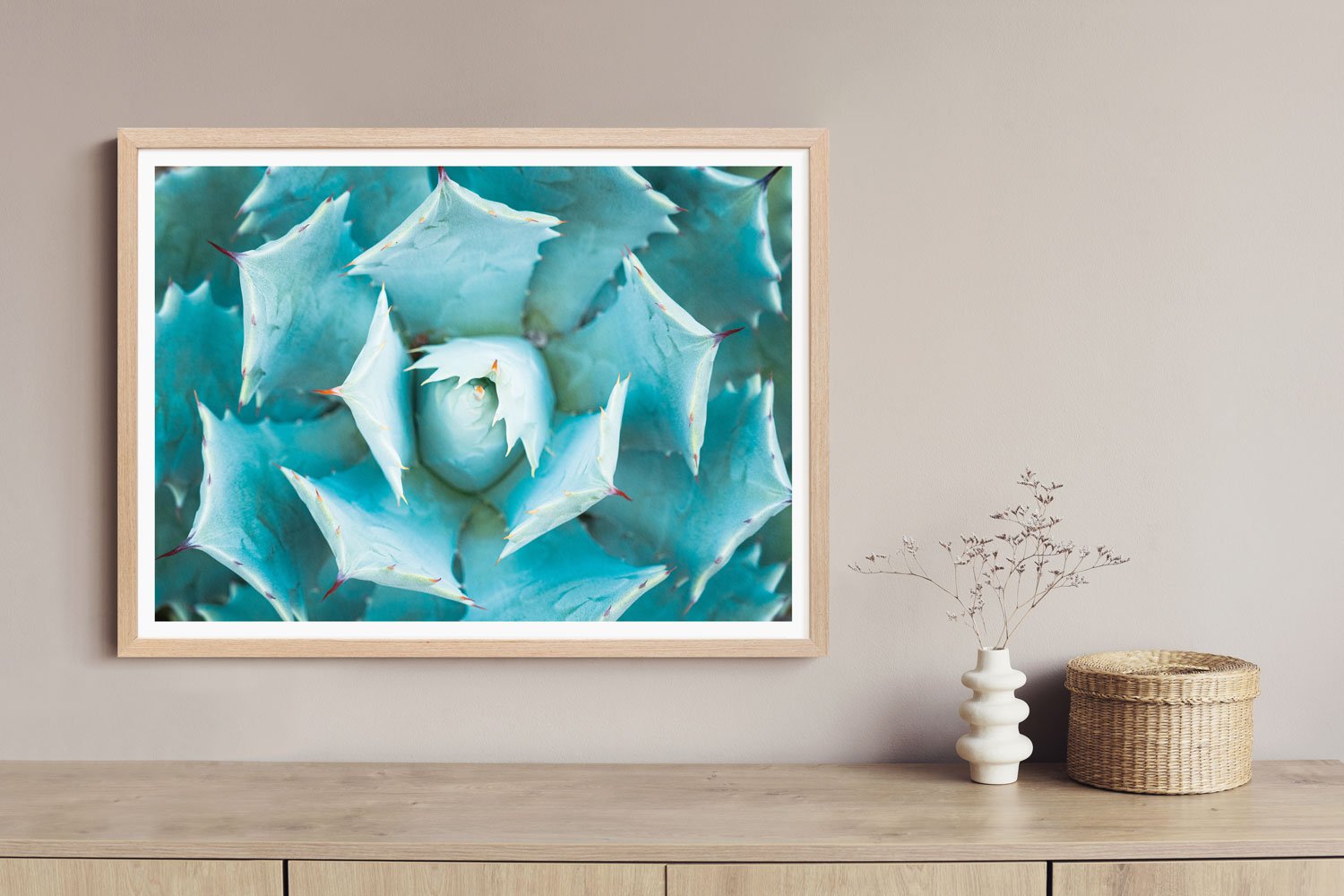 Overhead Majesty of the Agave - Rodrigo Ojeda - fotos para arte