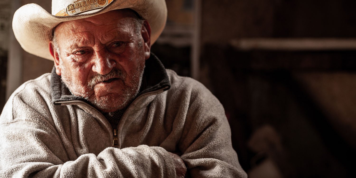 Reflexión Vaquero: Retrato al Atardecer