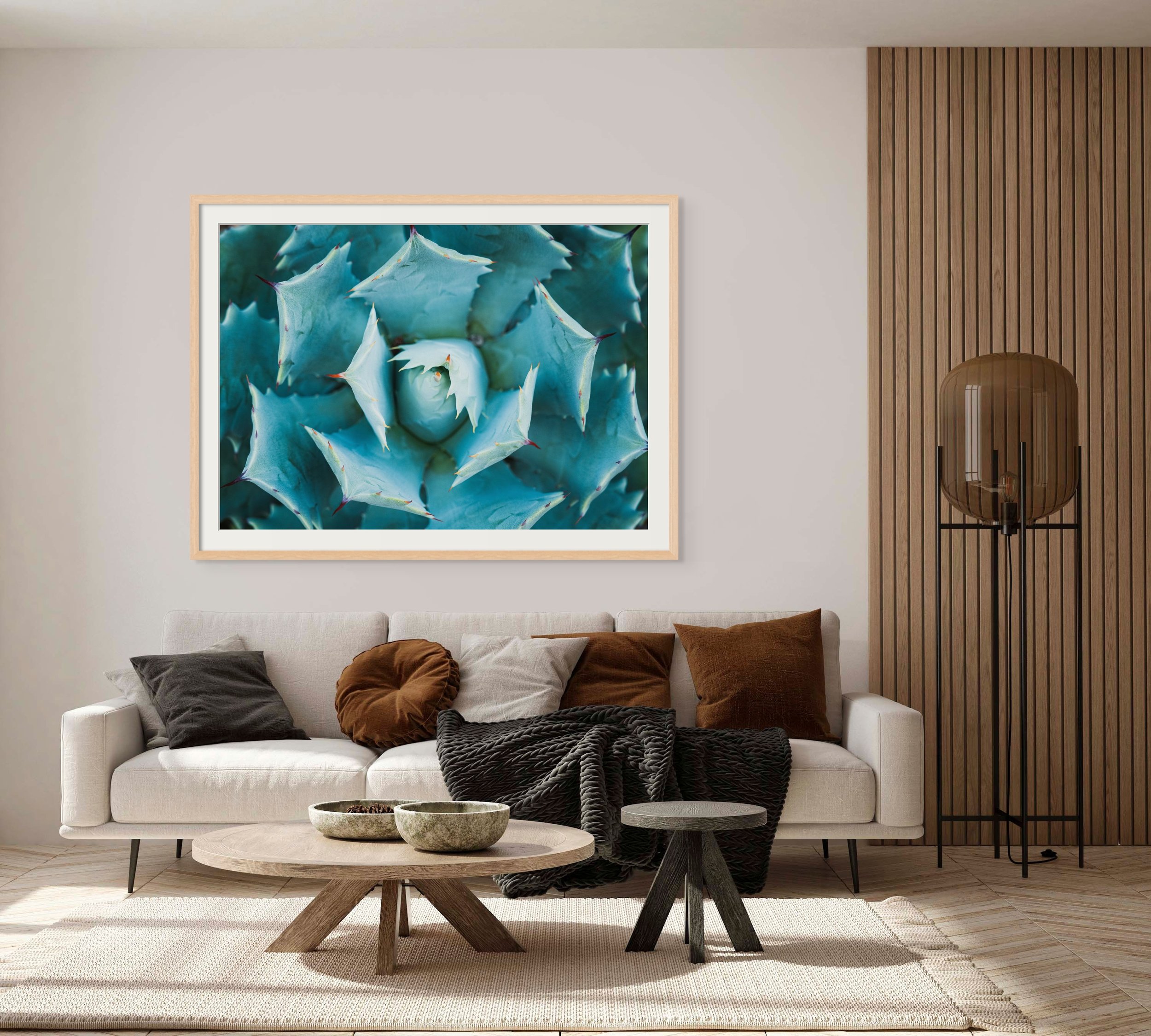 Overhead Majesty of the Agave - Rodrigo Ojeda - fotos para arte