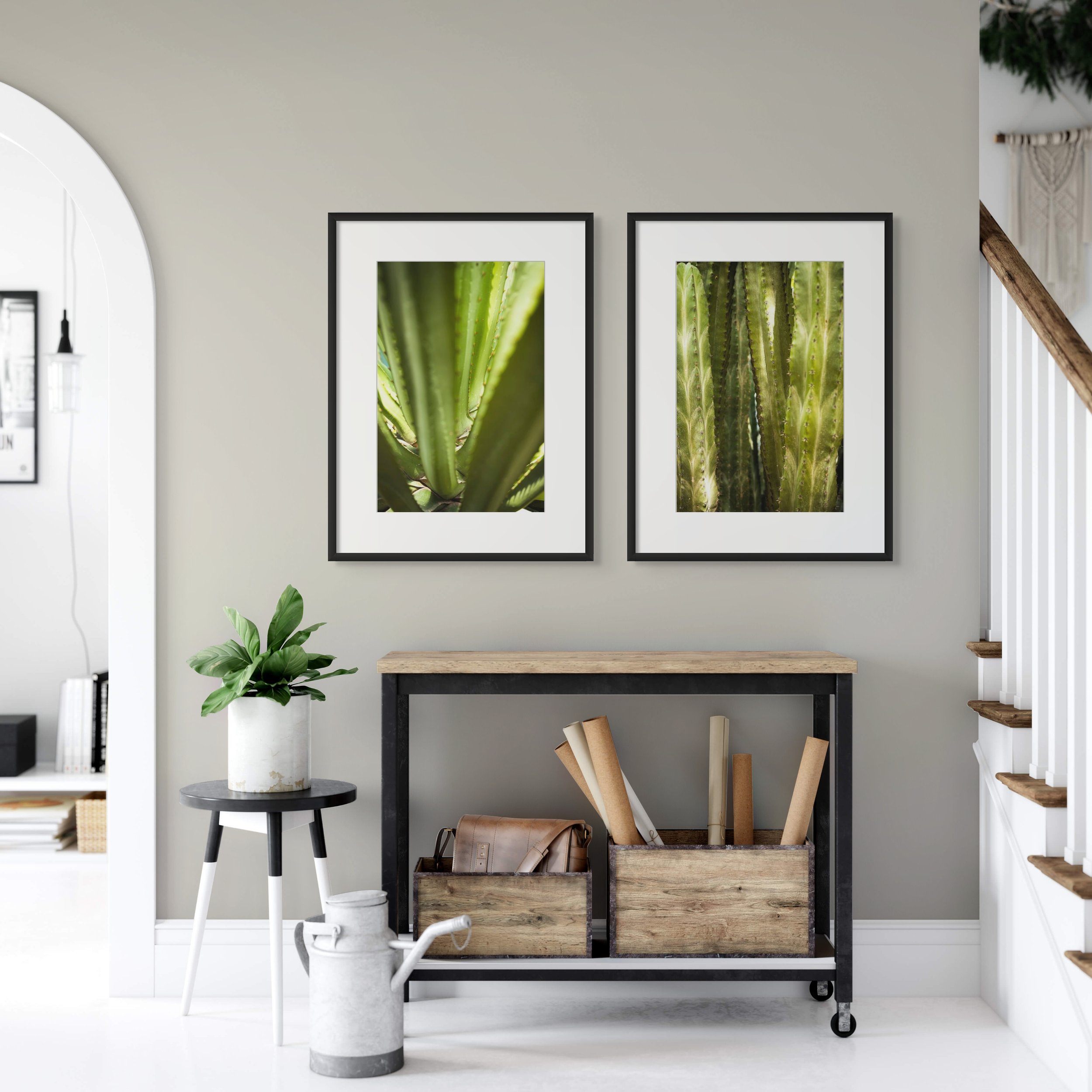 Resilient Symmetry of Cactus Leaves - Rodrigo Ojeda - fotos para arte