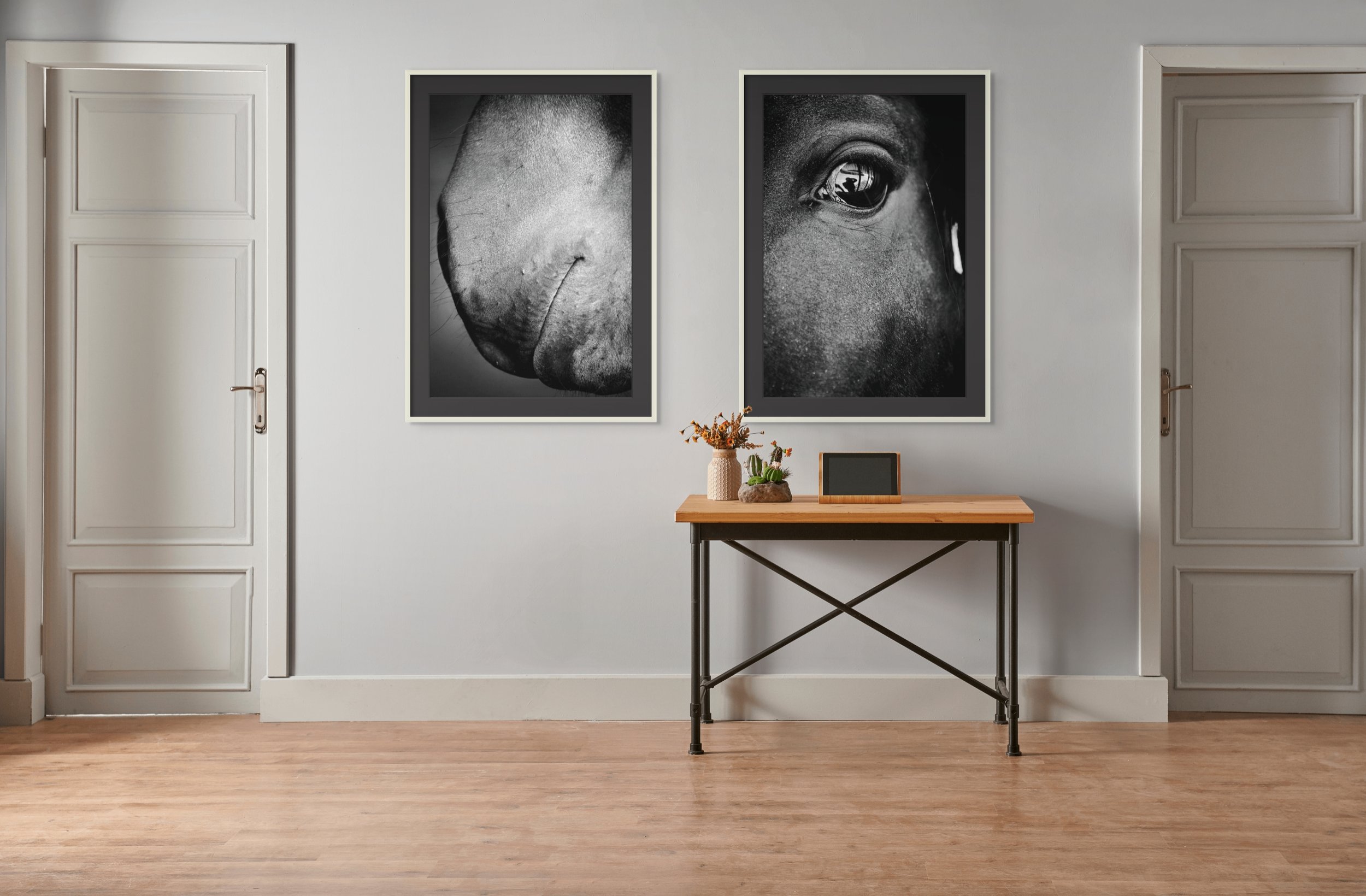 Soul Reflection: Horse's Eye with Human Silhouette - Rodrigo Ojeda - fotos para arte
