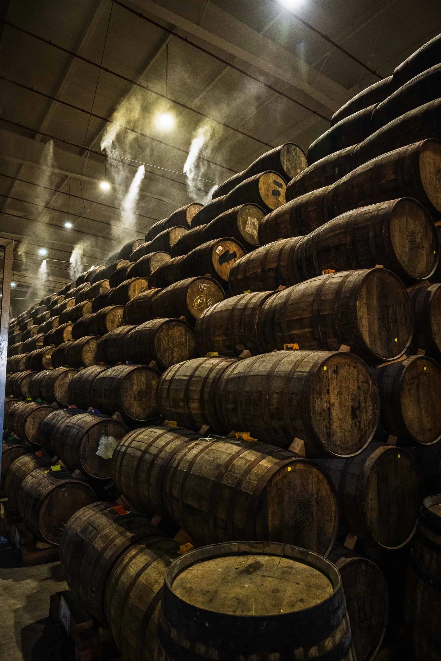 Interior de una bodega de añejamiento con filas de barricas de roble apiladas, utilizadas para madurar tequila, envueltas en una atmósfera húmeda con vapores visibles bajo luz tenue.