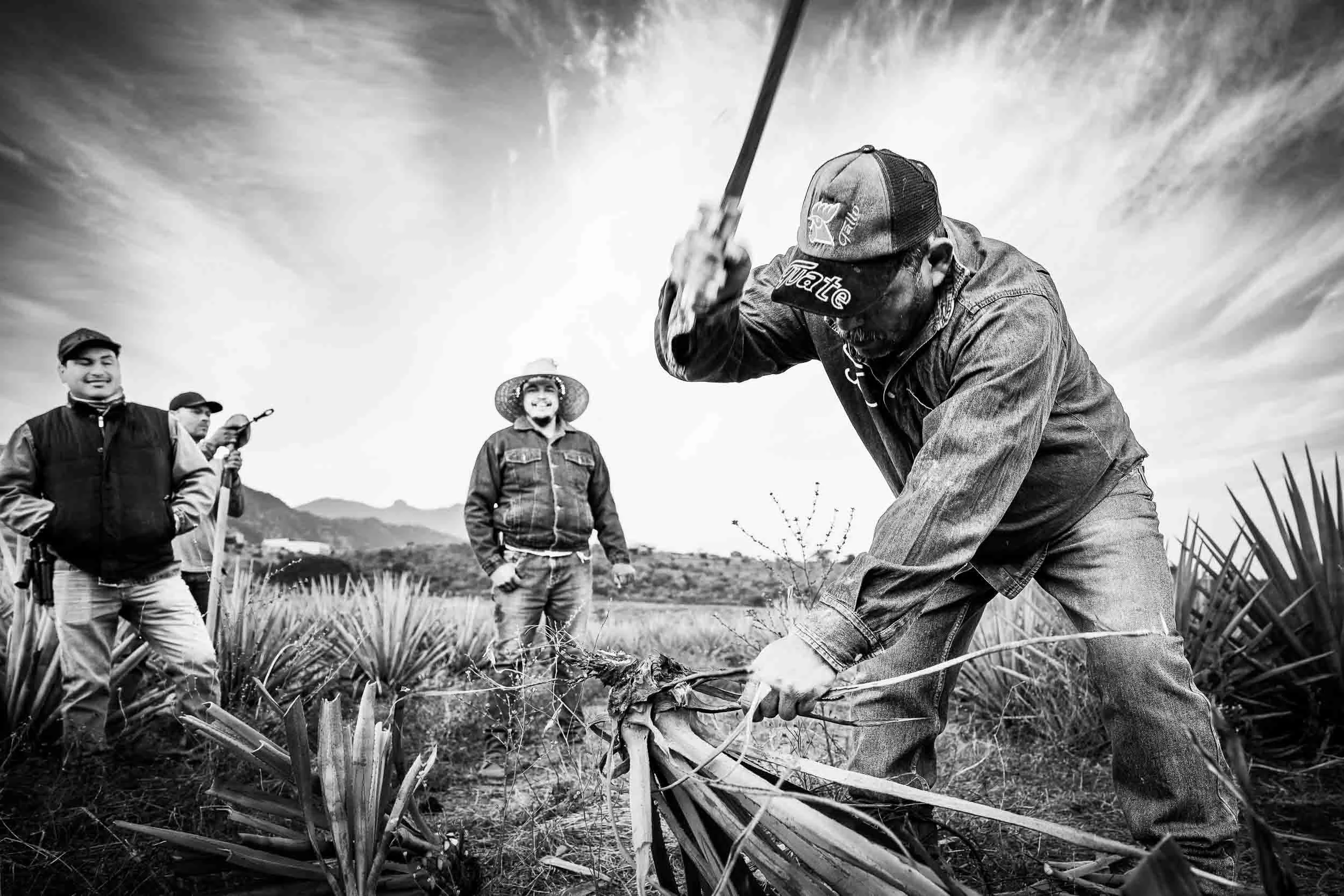 Jimador sembrando agave, de la serie documental The Heart of the Agave por Rodrigo Ojeda — Mención Honorífica, International Photography Awards 2025.