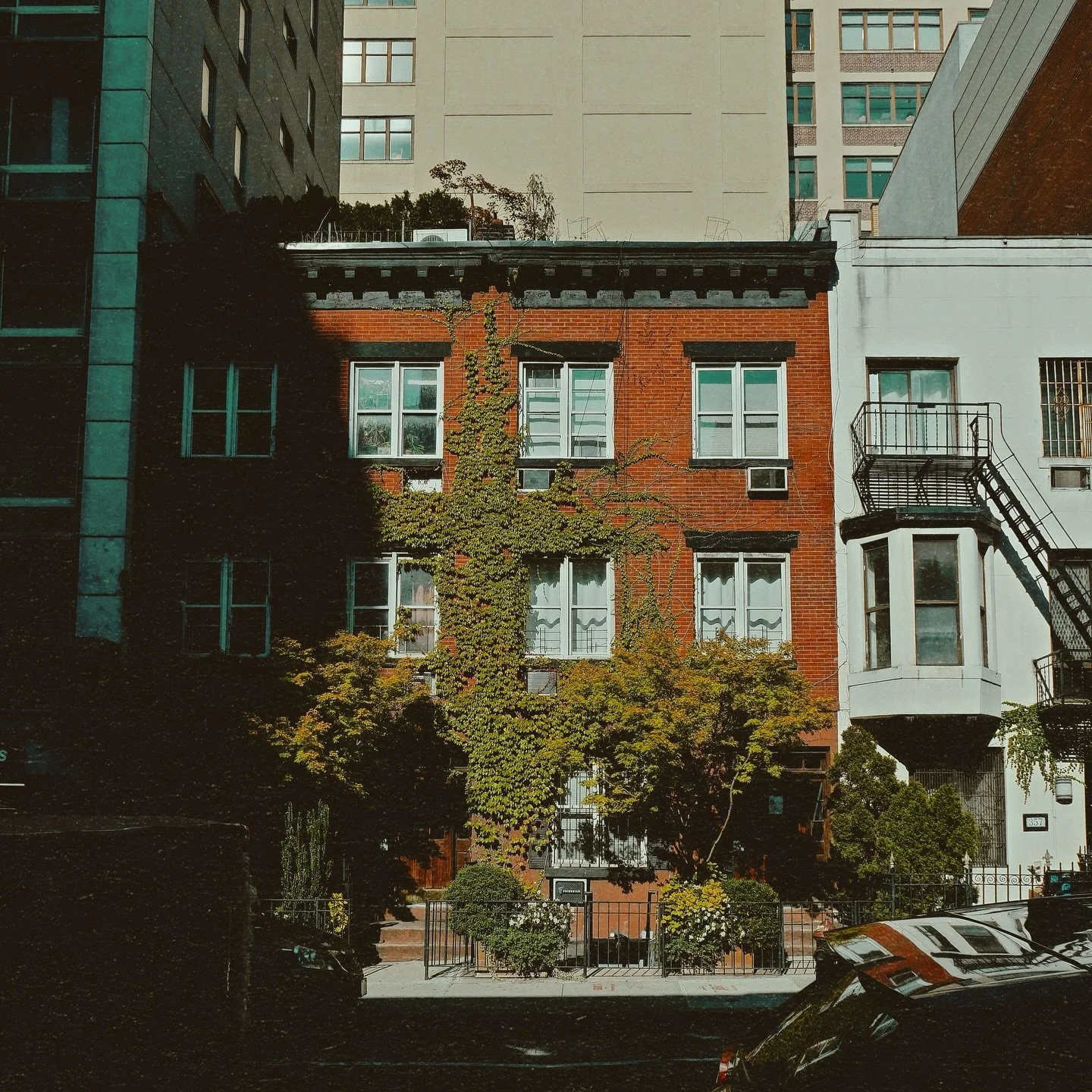 Had to get these on the grid rq! ✨