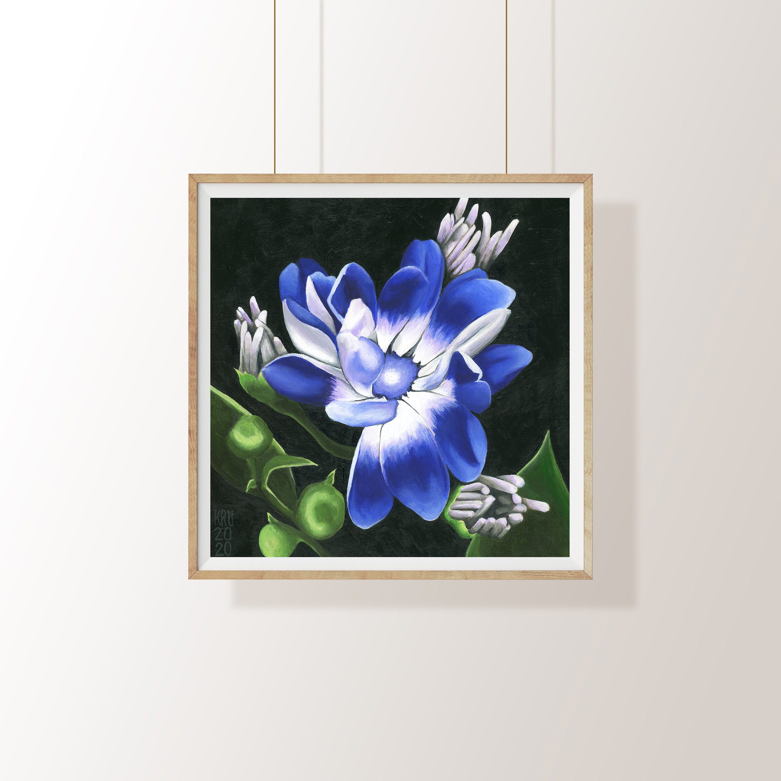 cineraria.frame.jpg