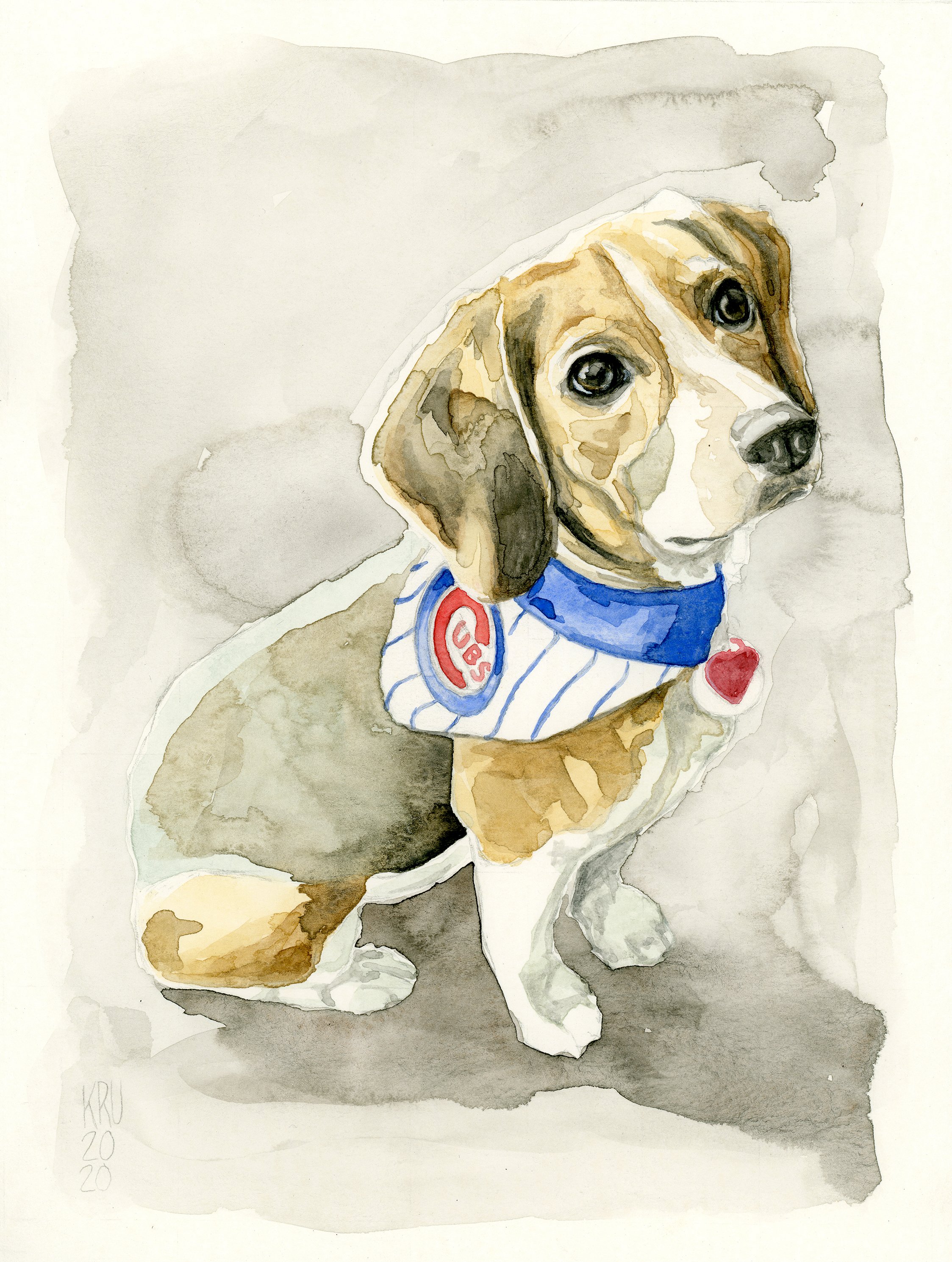 beagle.web.jpg