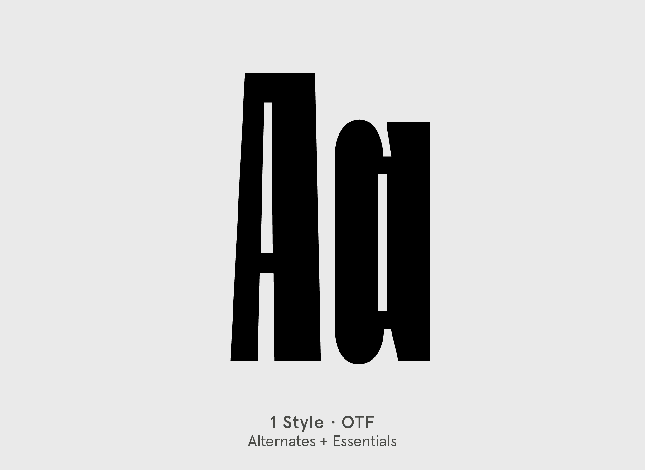 BN Branch condensed display font specimen by BN Type Foundry