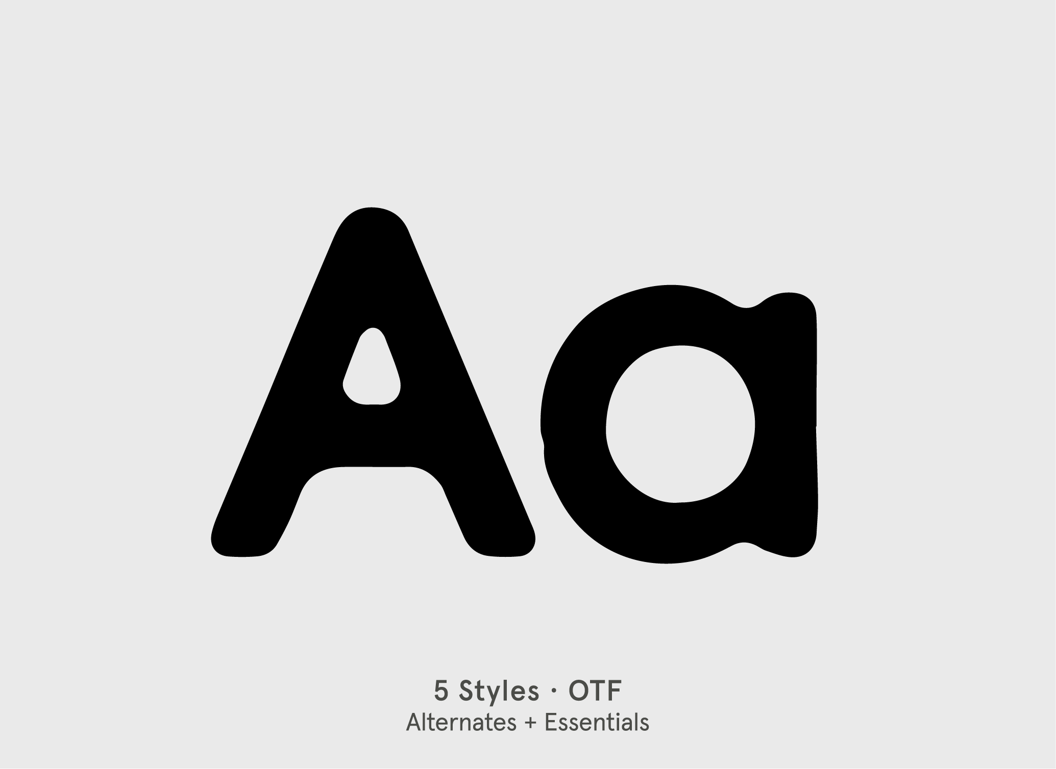 BN Cringe Sans retro vintage display font specimen by BN Type Foundry