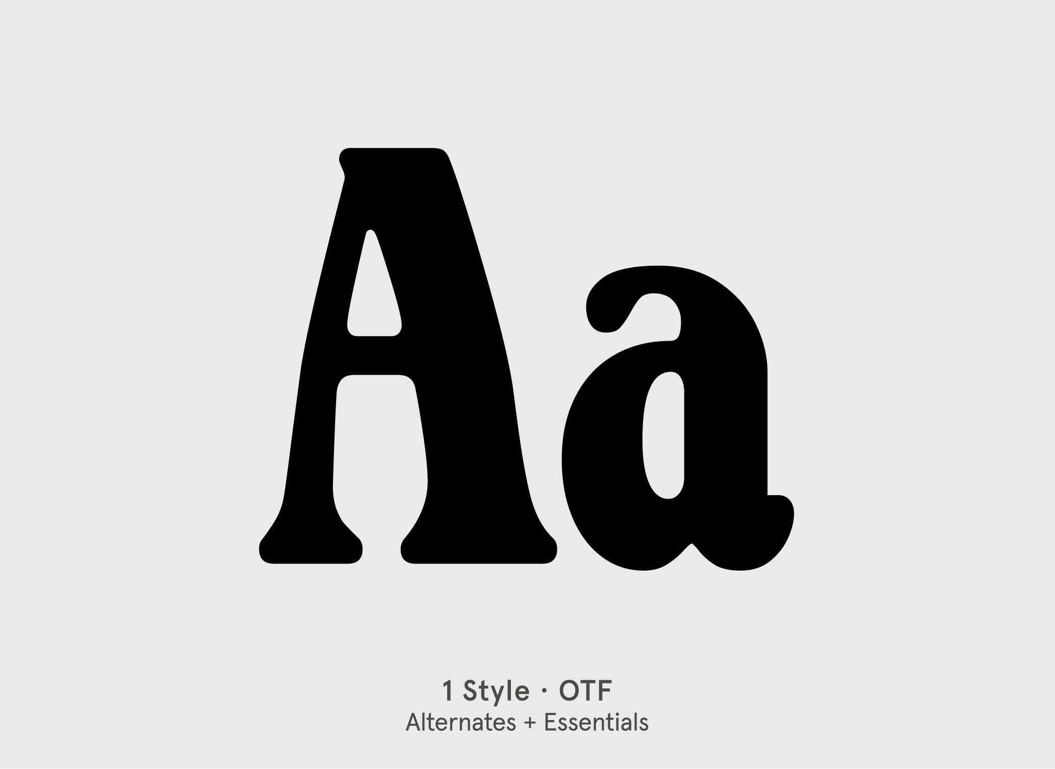 BN Alphabyte retro vintage display font specimen by BN Type Foundry