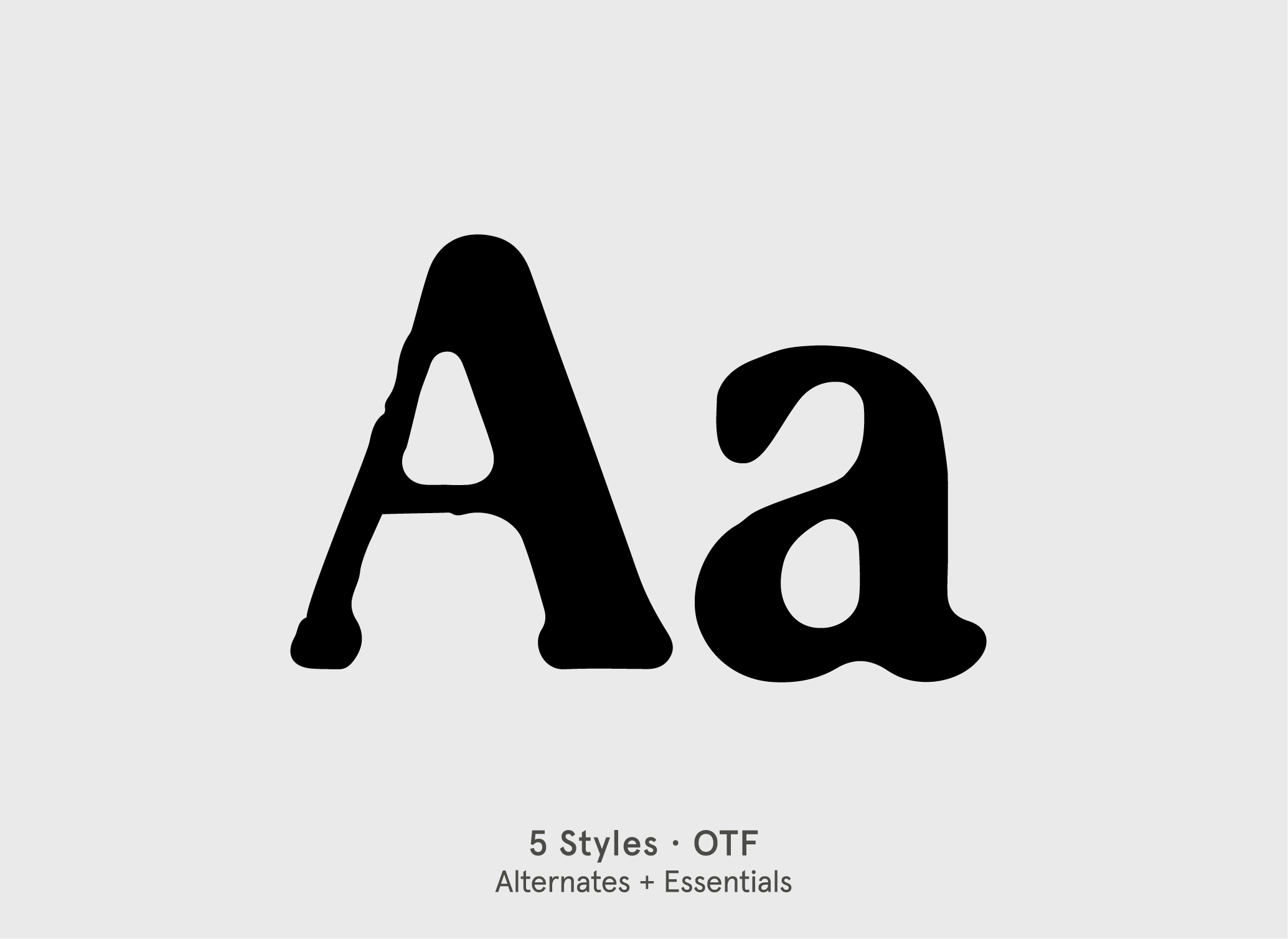 BN Cringe Serif retro vintage display font specimen by BN Type Foundry