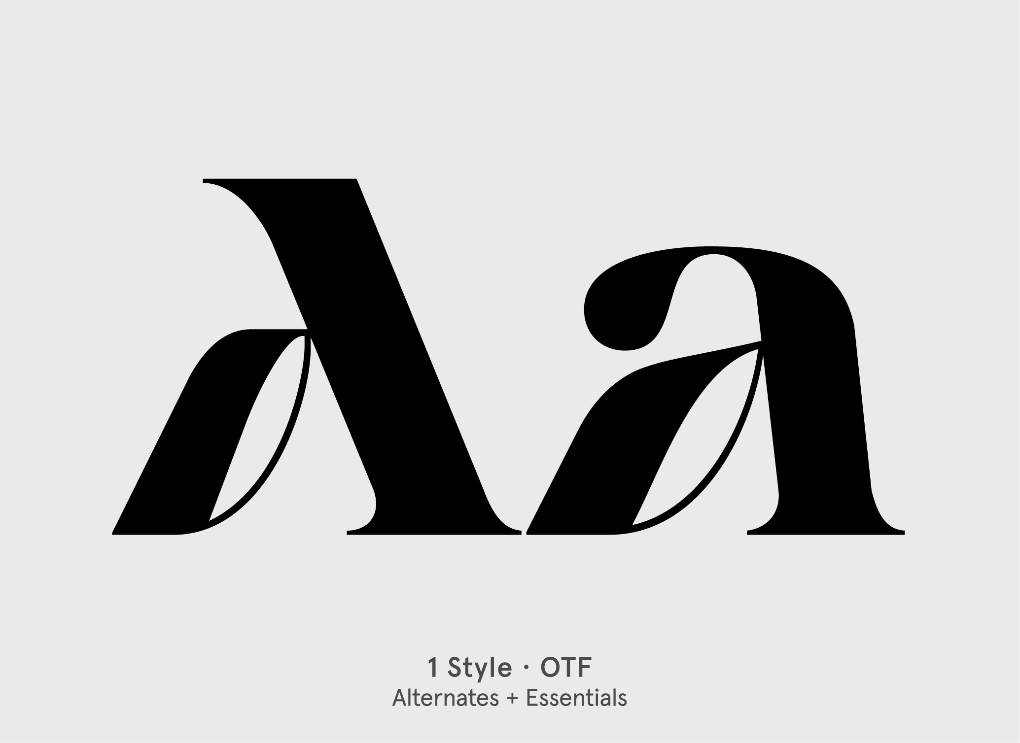 BN Alkalize serif display font specimen by BN Type Foundry