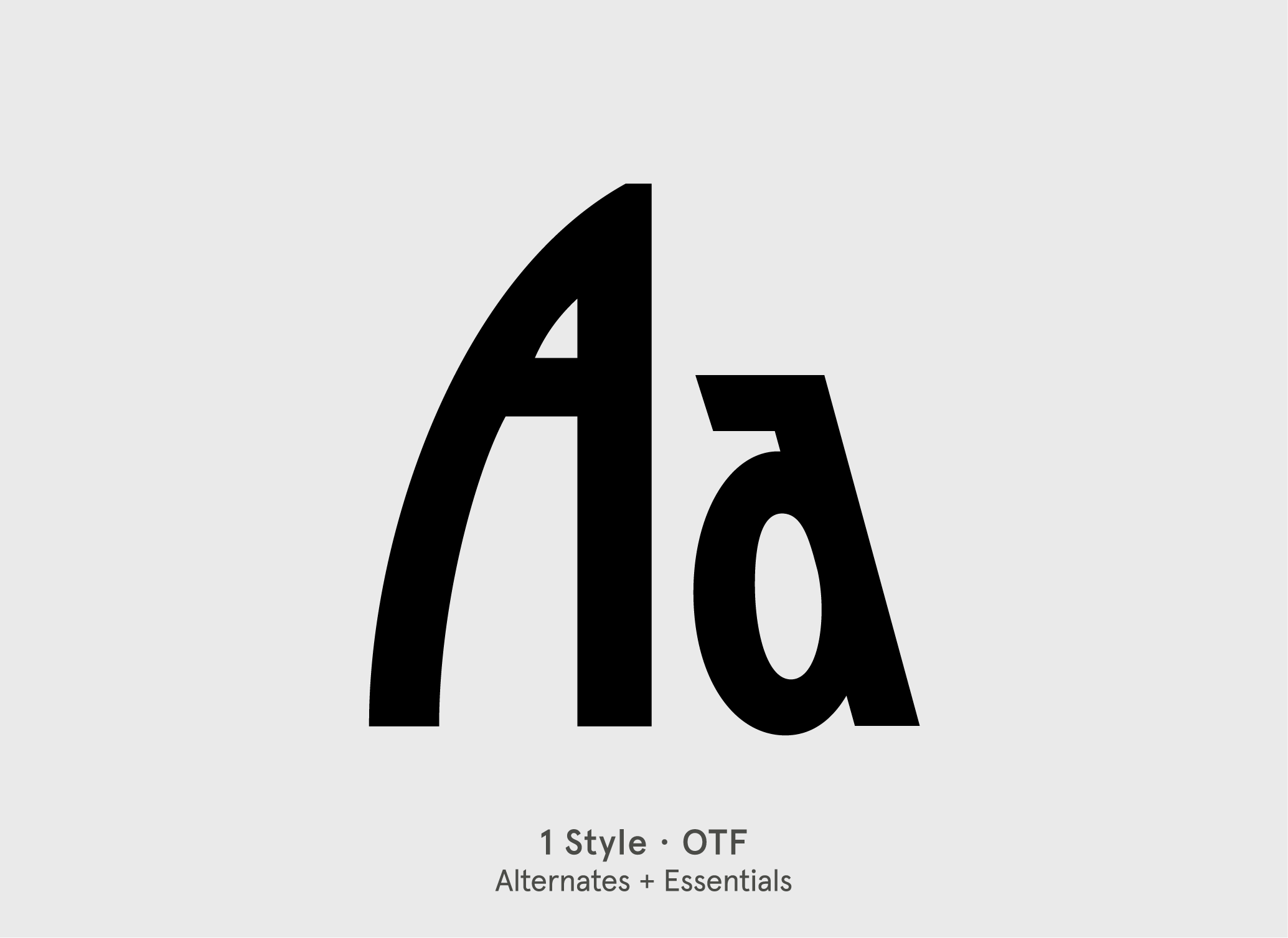 BN Mishmash condensed display font specimen by BN Type Foundry