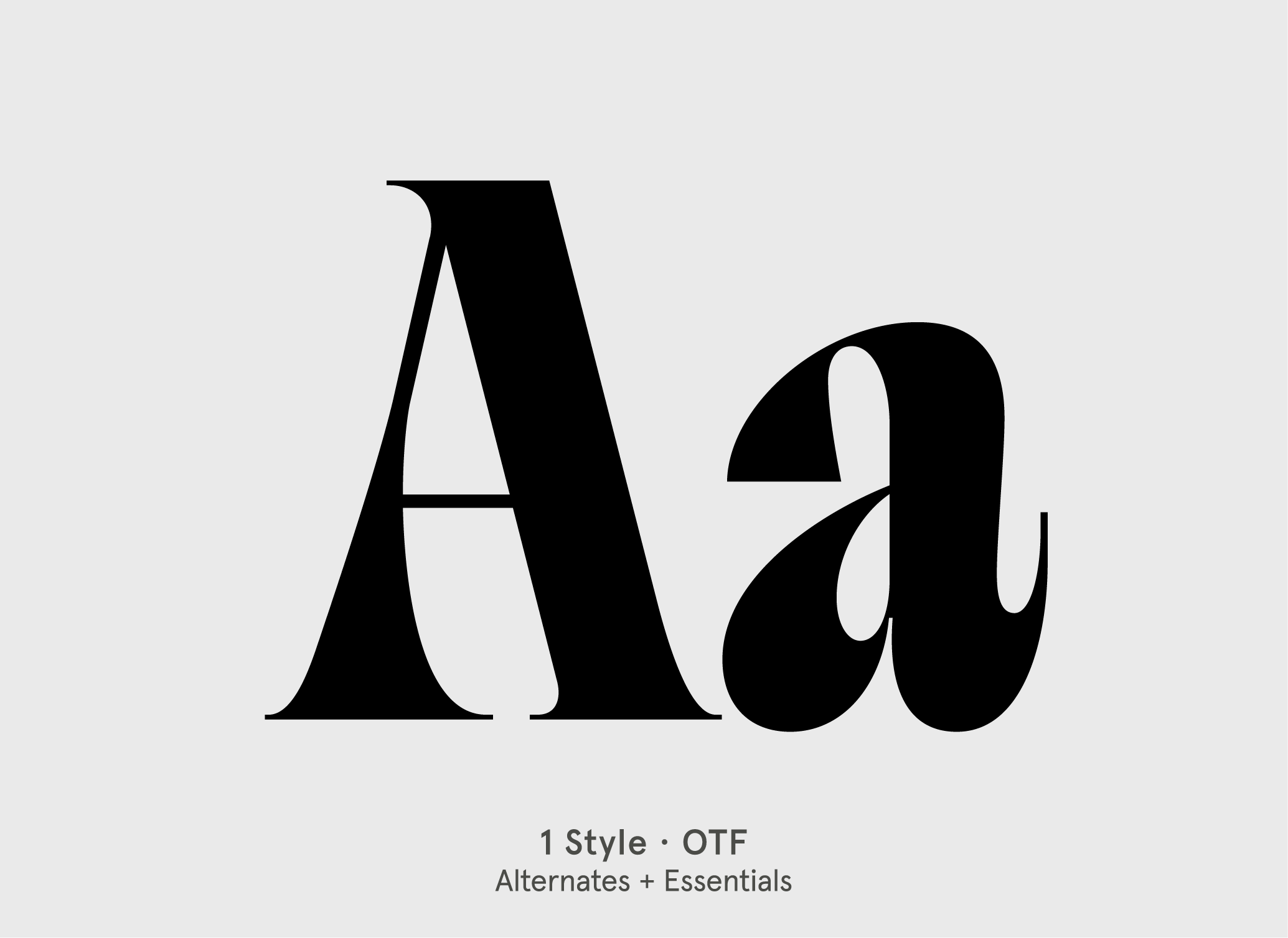 BN Digest serif display font specimen by BN Type Foundry