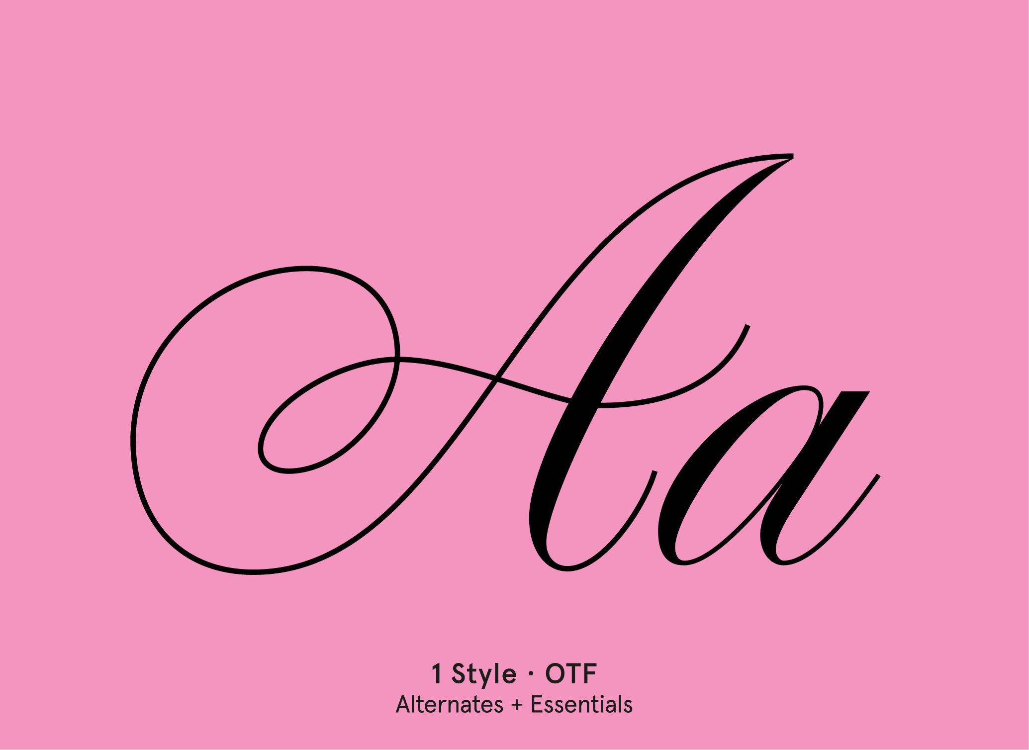 BN Beta Script handwritten font specimen by BN Type Foundry