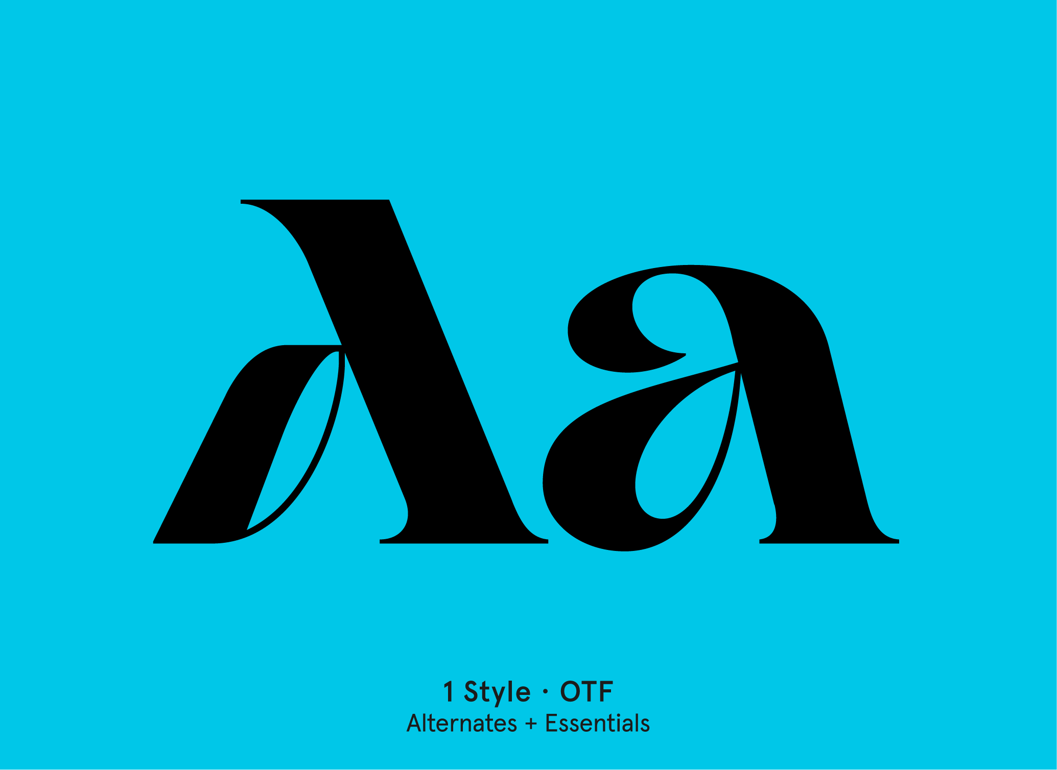 BN Alkalize display font specimen by BN Type Foundry