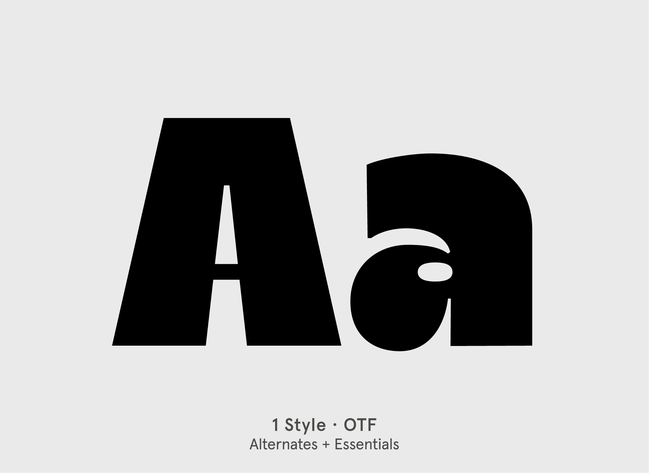 BN Buzzer sans serif display font specimen by BN Type Foundry