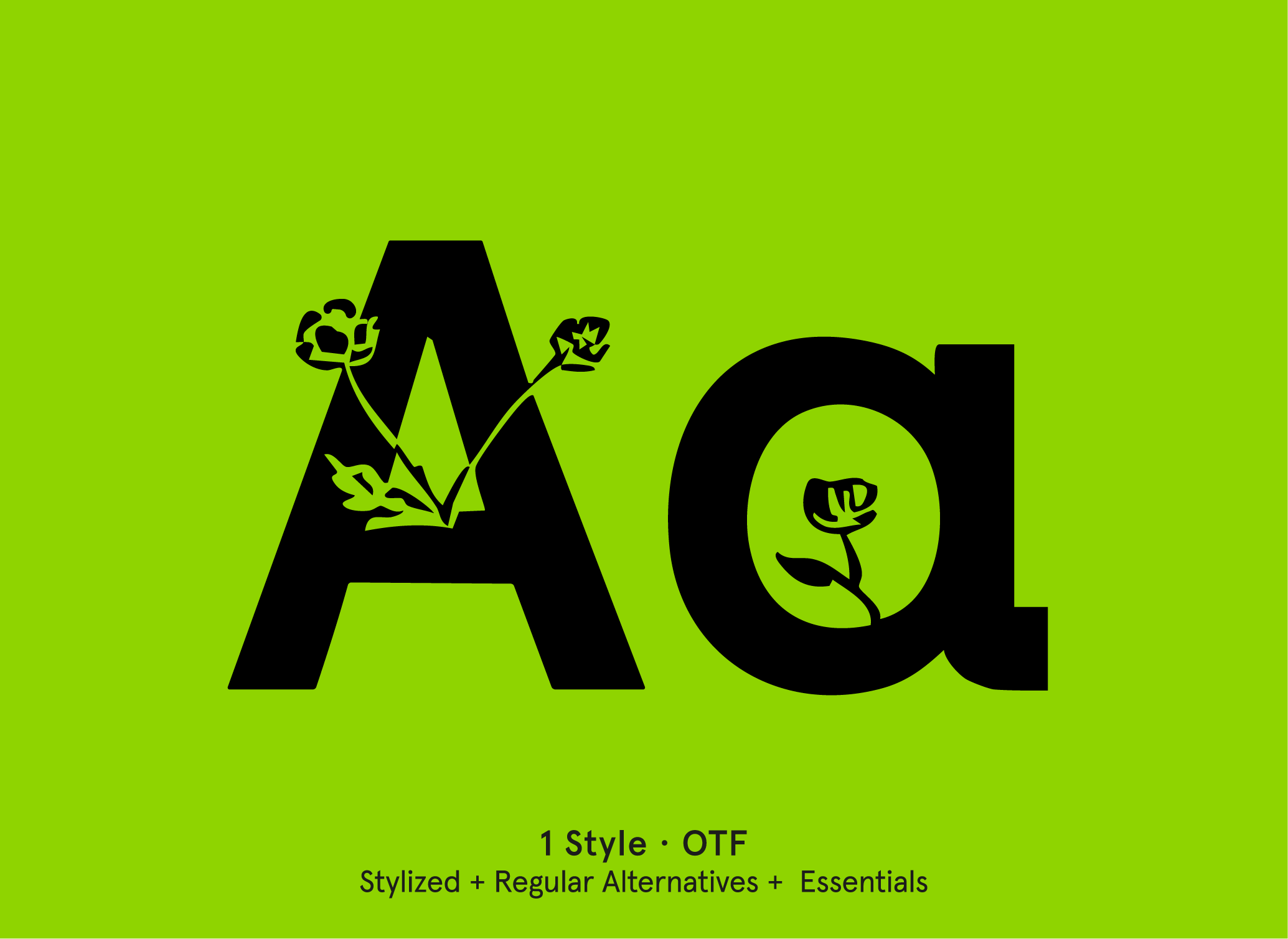 BN Blooms display font specimen by BN Type Foundry