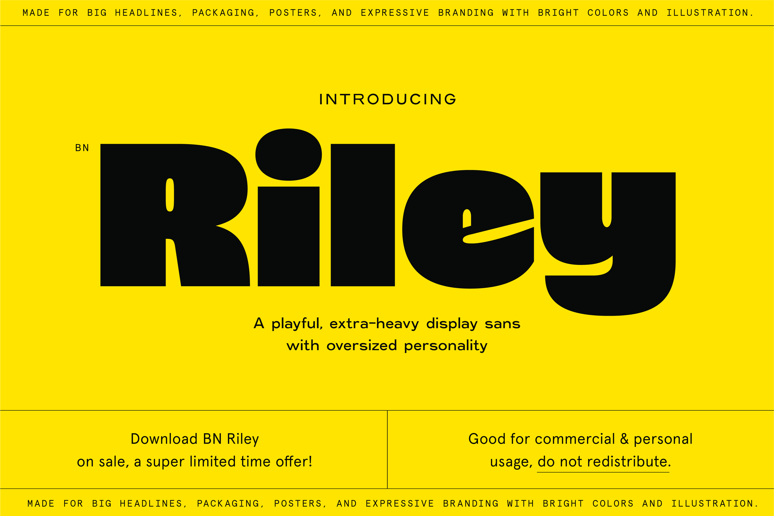 BN Riley