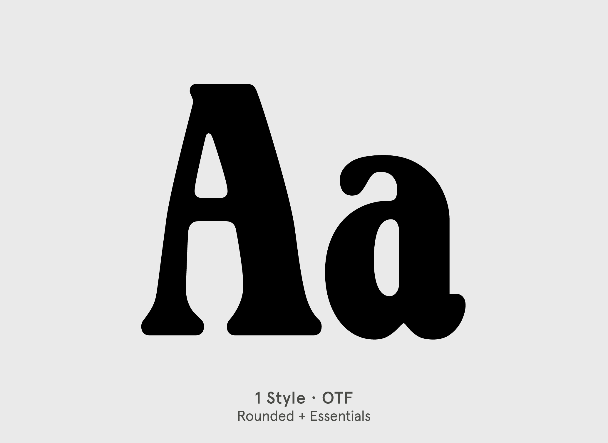 BN Alphabyte Serif display font specimen by BN Type Foundry