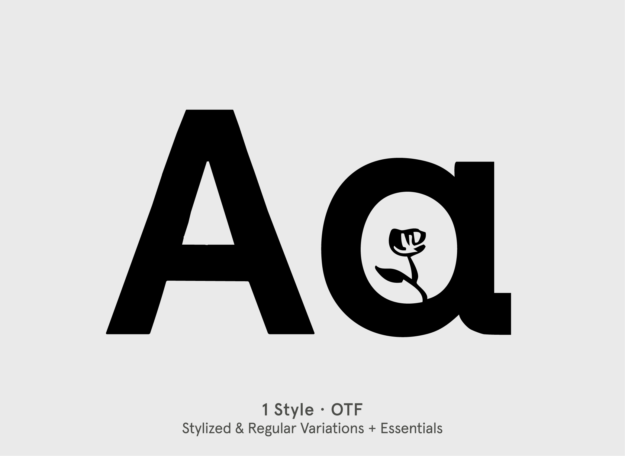 BN Blooms stylized display font specimen by BN Type Foundry