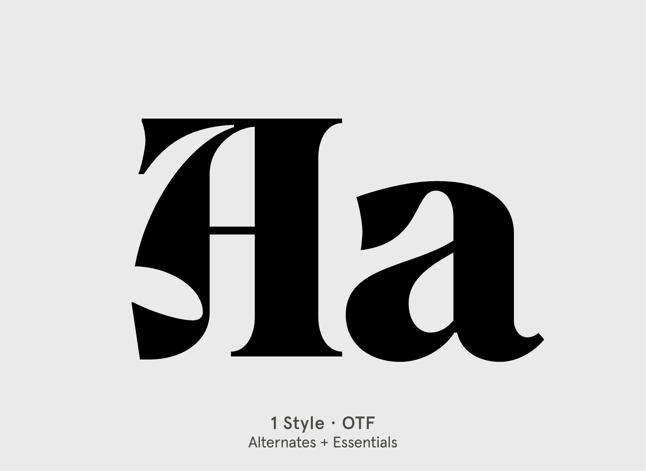 BN Boner serif display font specimen by BN Type Foundry