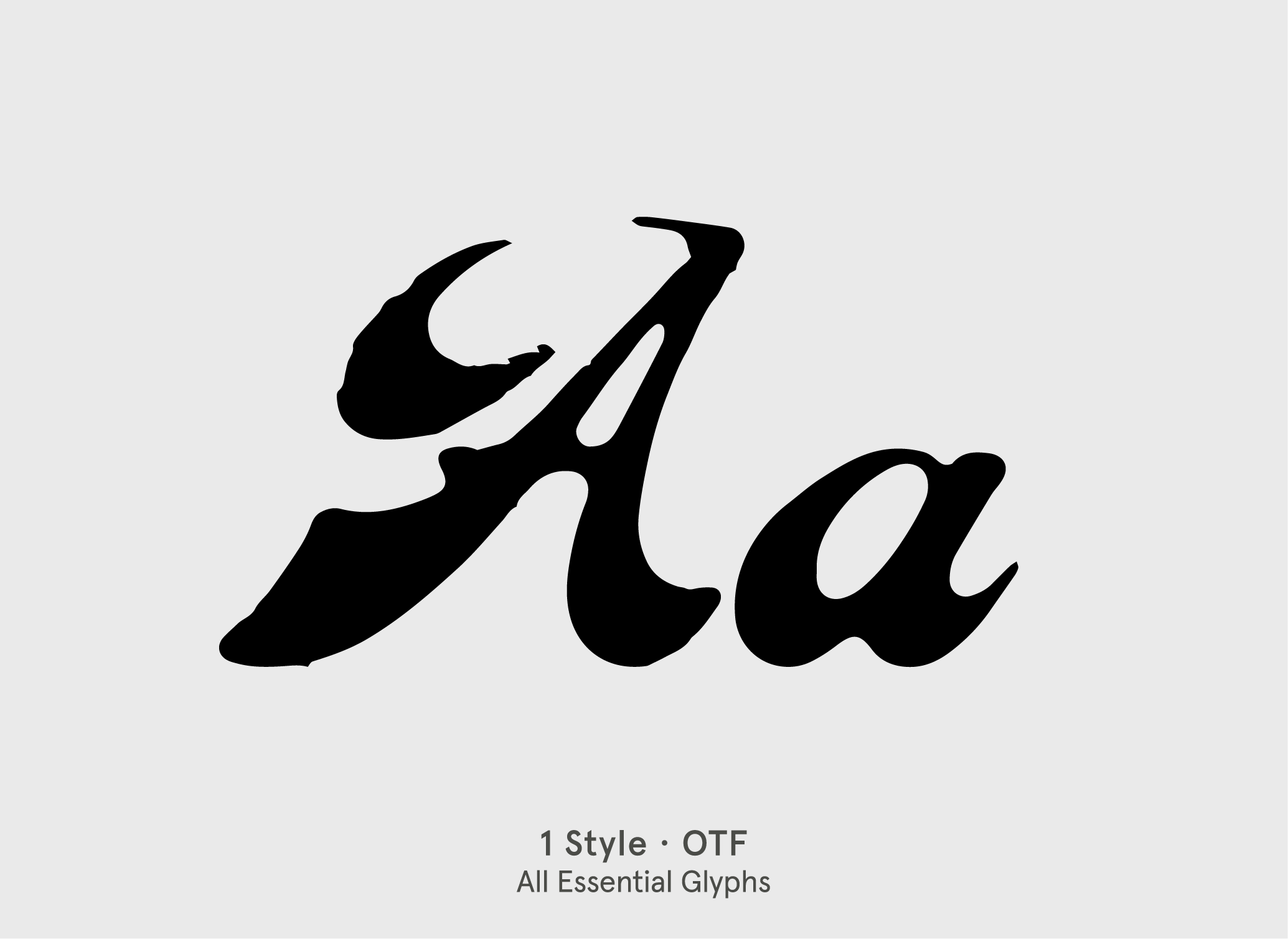 BN Cringe Script retro vintage display font specimen by BN Type Foundry