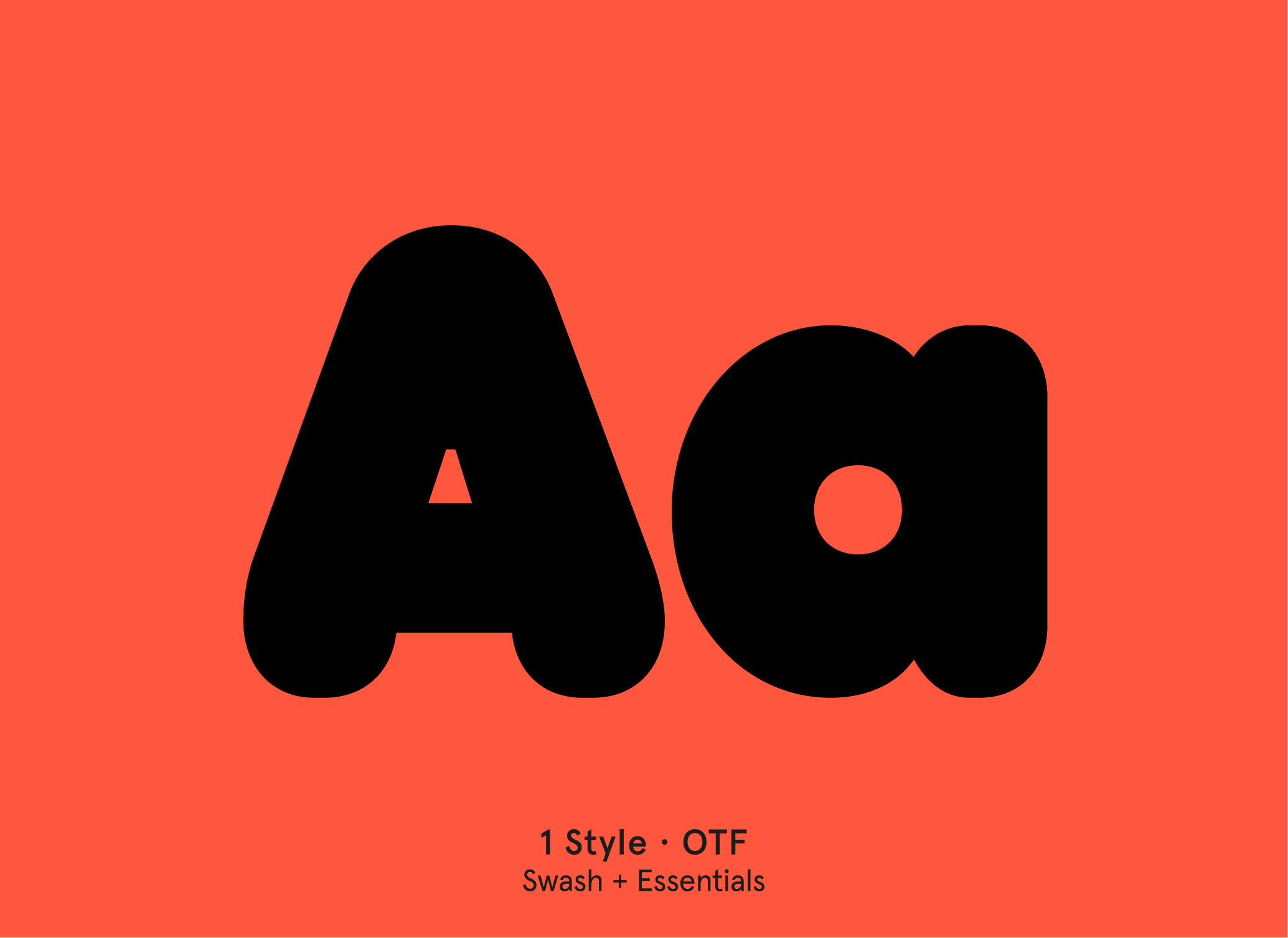 BN Monica swash display font specimen by BN Type Foundry