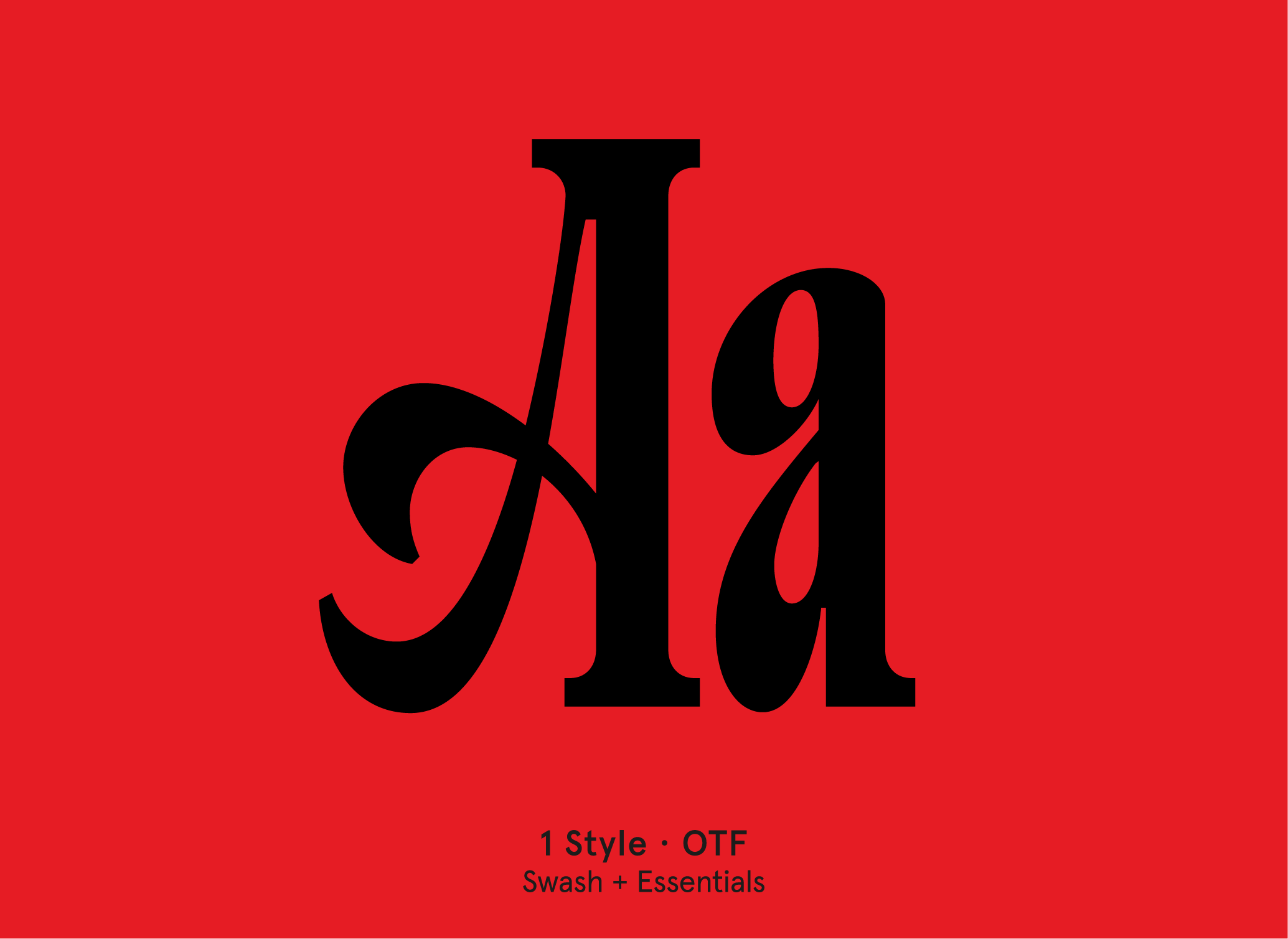 BN Brownstone condensed swash font specimen by BN Type Foundry