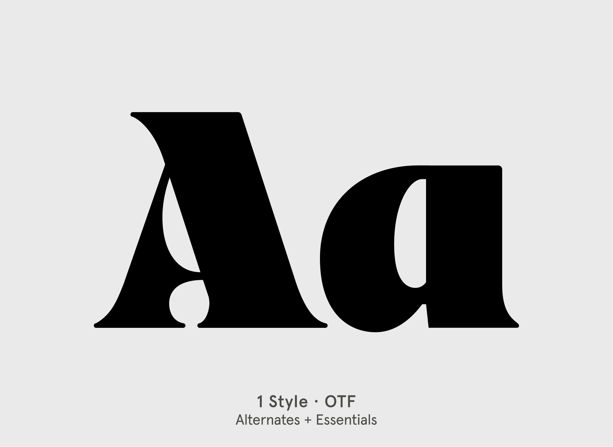 BN Bungie serif display font specimen by BN Type Foundry