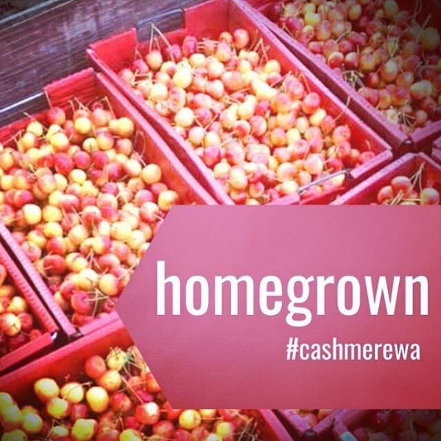 #growerspride #rainiercherries #cashmerewa 🍒 : carney orchards