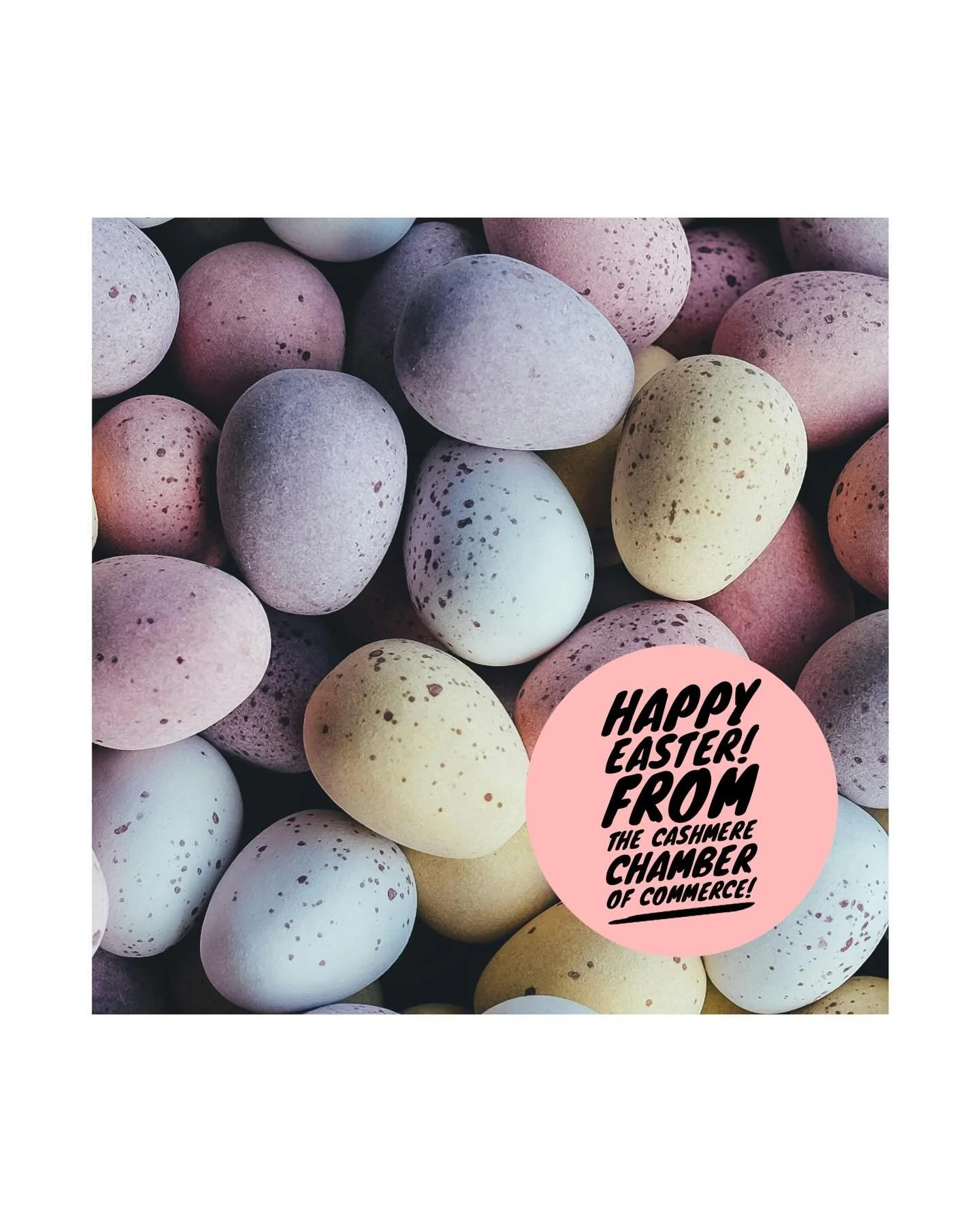 🌷🐣 Happy Easter from the Cashmere Chamber of Commerce! 🐣🌷

Wishing our wonderful community a joyful day filled with sunshine, renewal, and time spent with loved ones. May this season of growth bring fresh opportunities, new beginnings, and contin