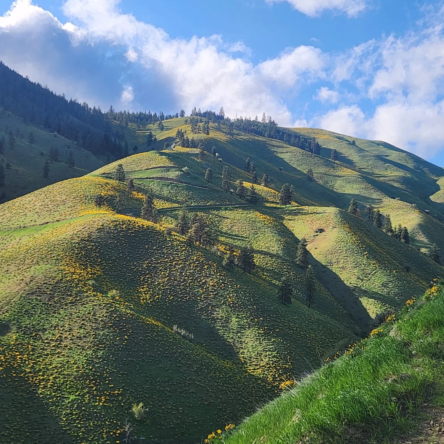 Things to do in Cashmere — Cashmere Chamber of Commerce