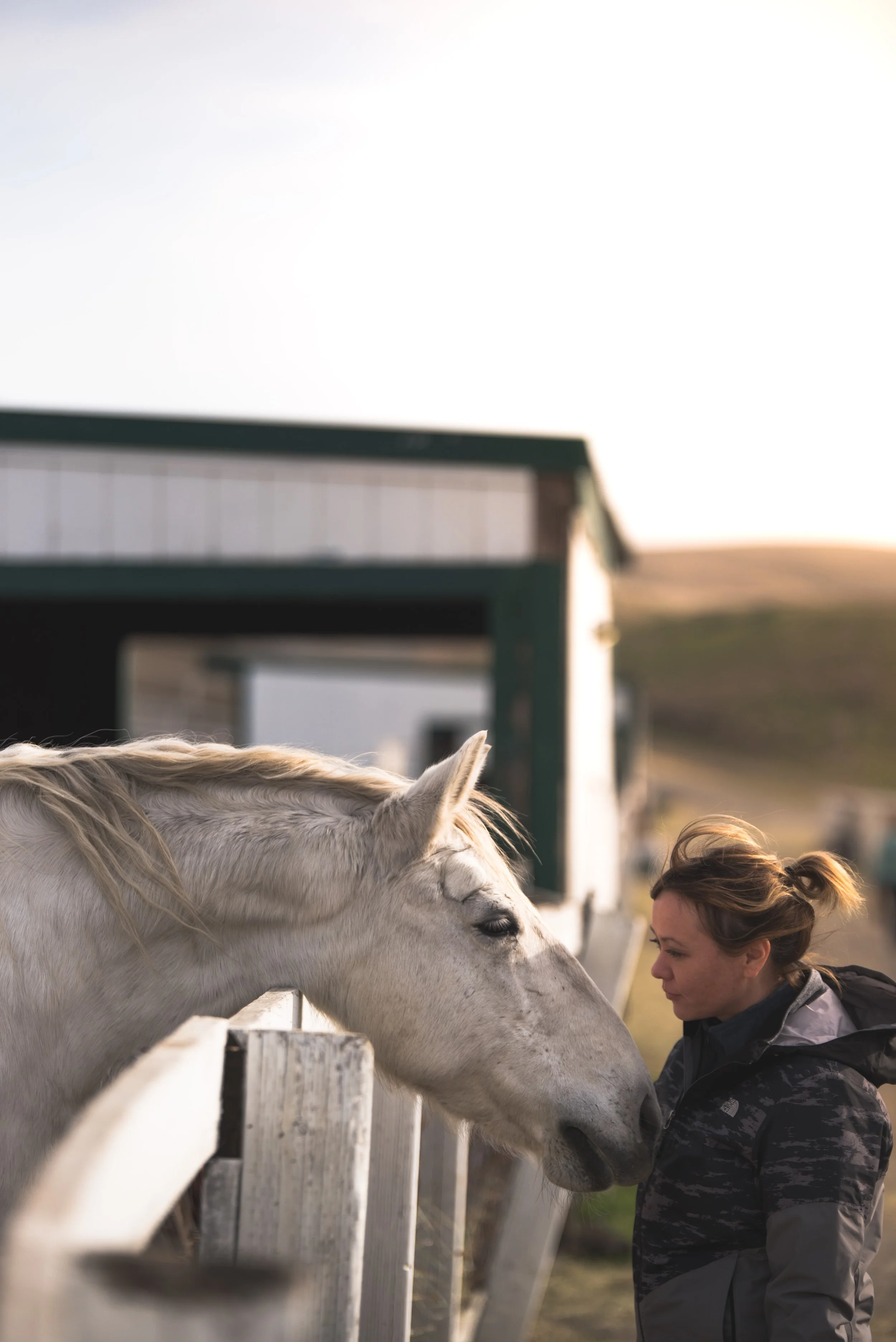 A woman with a child at a farm or ranch, interacting with a white horse over a wooden fence, during sunset or early evening.
