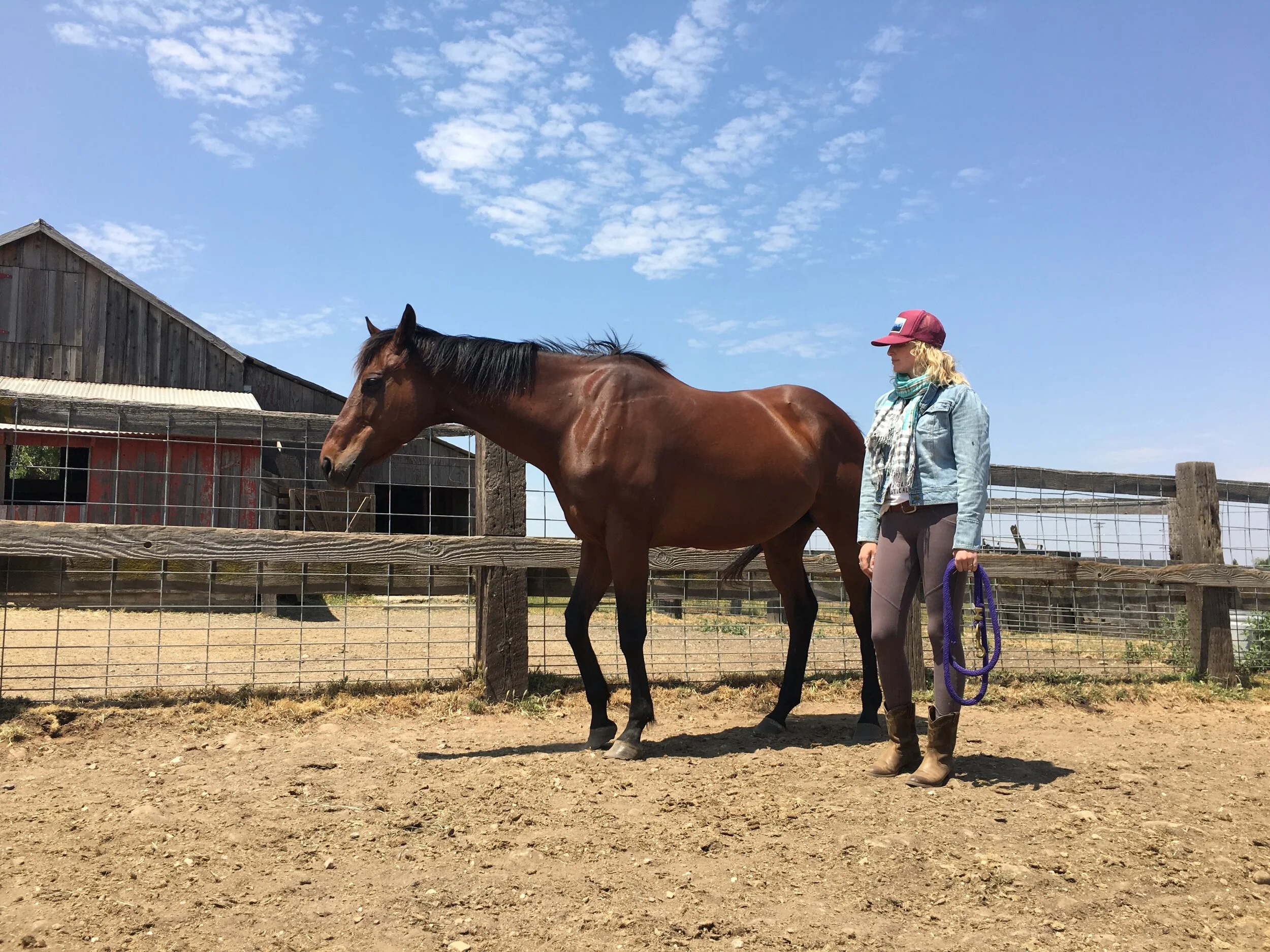 A woman with blonde hair wearing a red cap, denim jacket, and brown boots stands next to a brown horse with a black mane inside a fenced area on a farm. The background features a rustic barn, wooden fencing, and a partly cloudy blue sky.