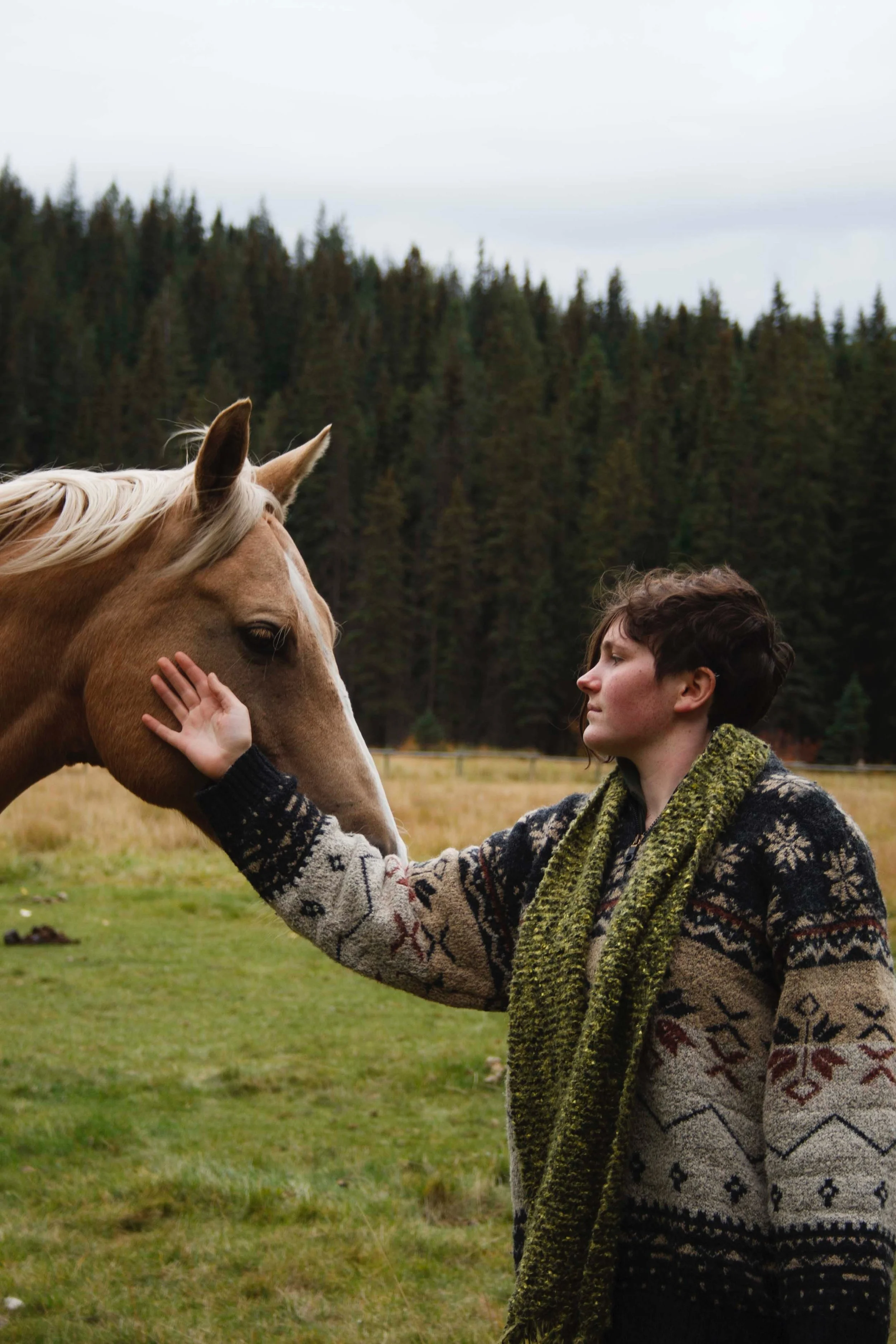 A person with short dark hair and light skin reaches out to touch the face of a tan horse with a white mane in a grassy field with a background of tall evergreen trees and a cloudy sky.