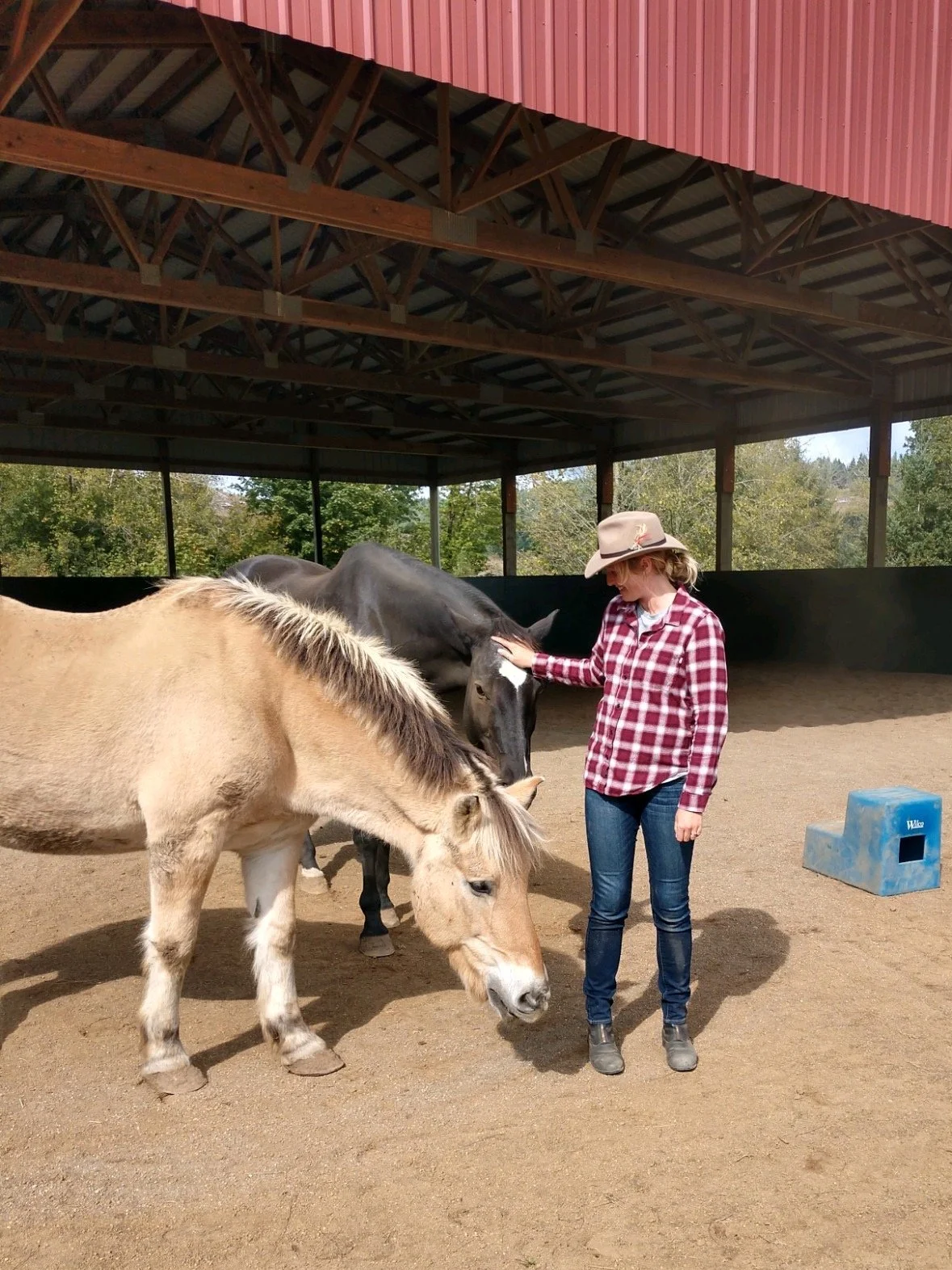 A woman in a plaid shirt and cowboy hat petting two horses in a barn-like structure.