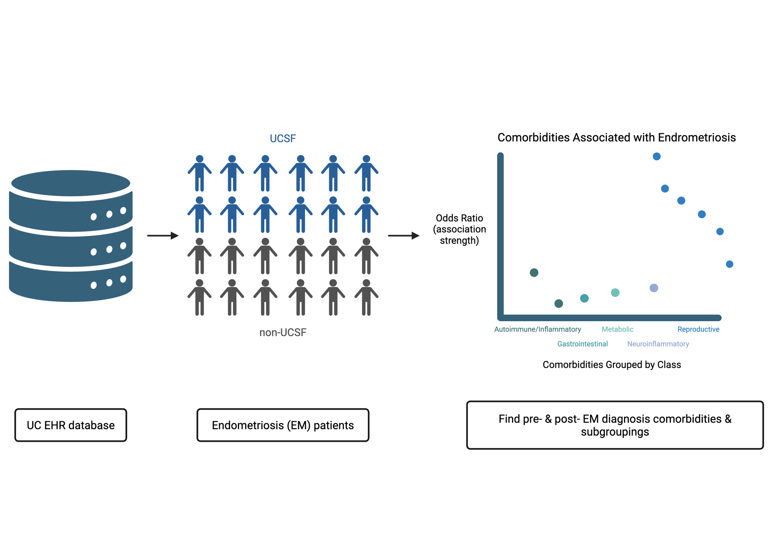 When Diseases Travel Together: Insights from Endometriosis Patients