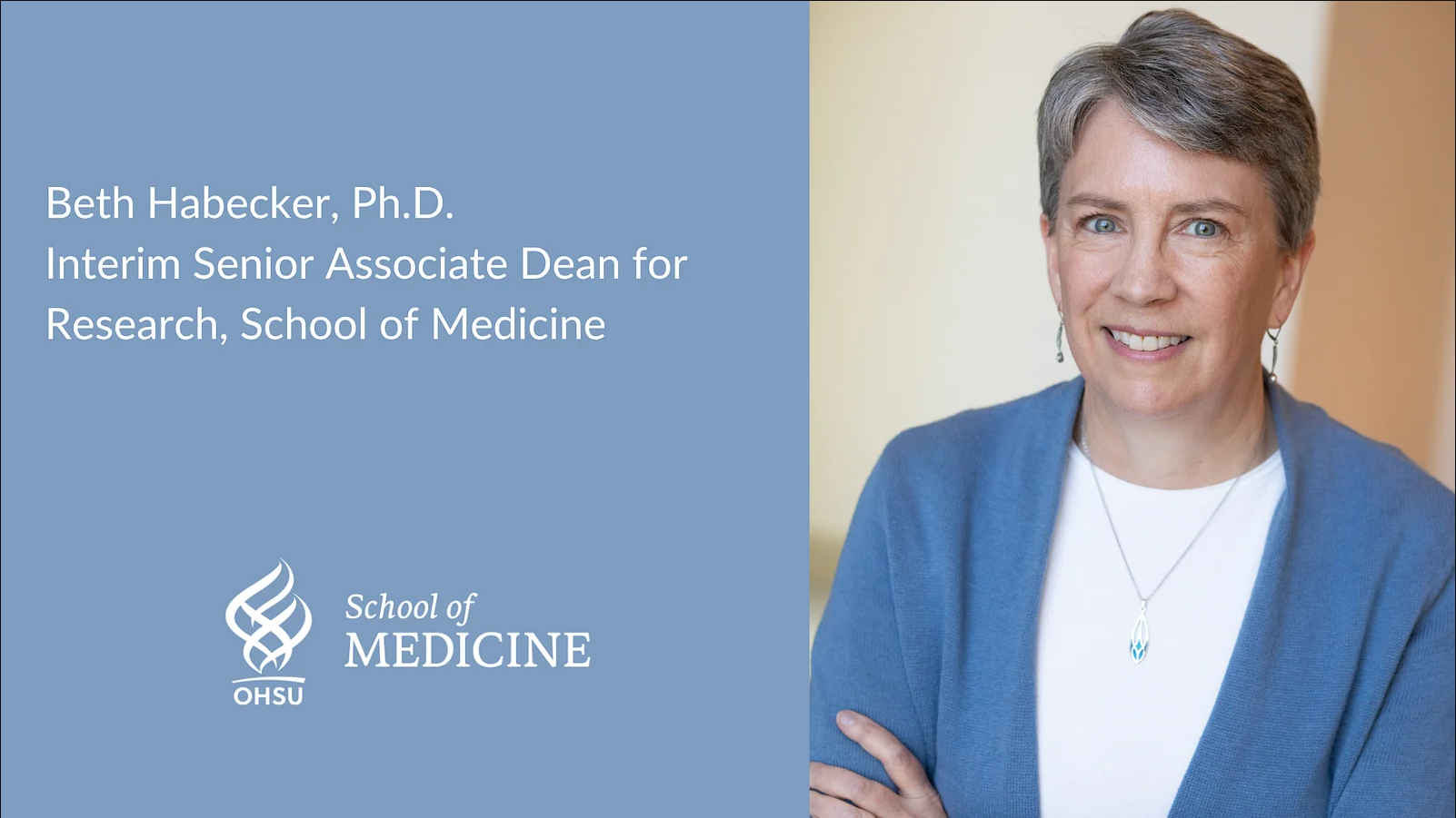 Beth Habecker appointed interim senior associate dean for research, School of Medicine