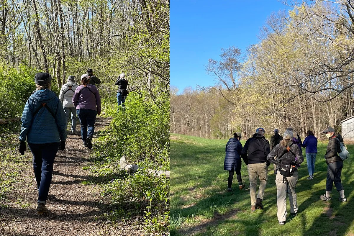 Spring Bird Walk @ Brooksvale Park