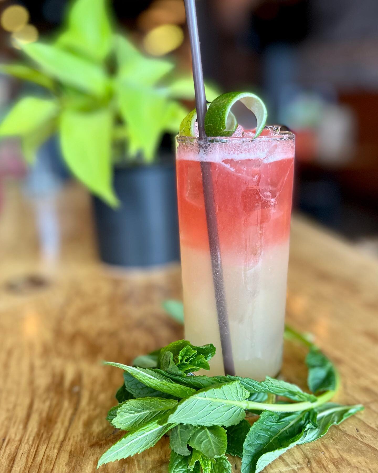 🎉NEW COCKTAIL🎉
You know what they say, &ldquo;snitches get stitches&rdquo;and piggy backing on this famous phrase, introducing our last cocktail for the season&hellip;
LOOSE LIPS SINK SHIPS

This colorful cocktail features; mint-infused rum, cacha&