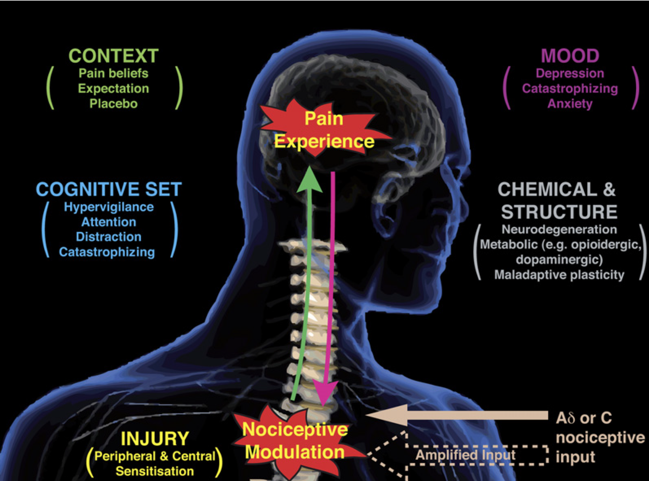 Screenshot 2017-07-04 17.51.43.png