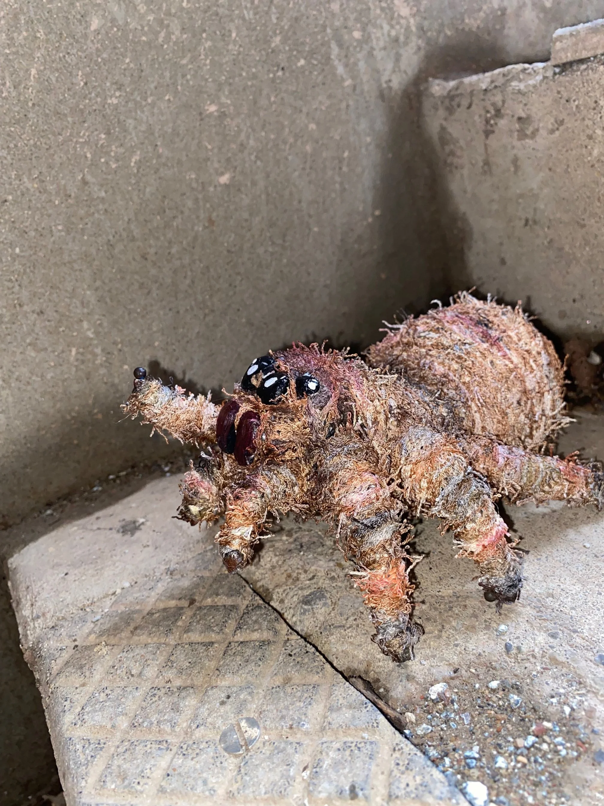 PUPPET SPIDER ON STAIRS.jpg