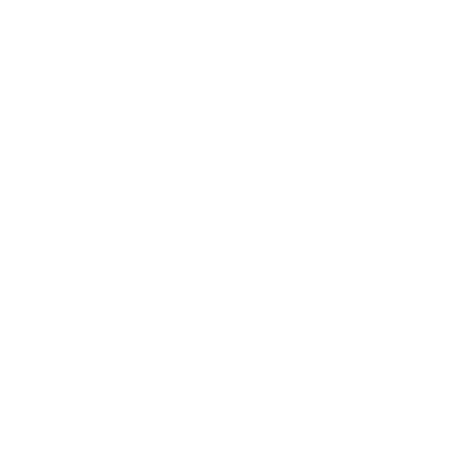 Kim Seidensticker
