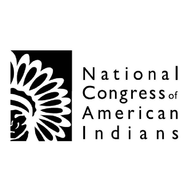 NCAI_Logo_FINAL_2010_horiz_square-01.png
