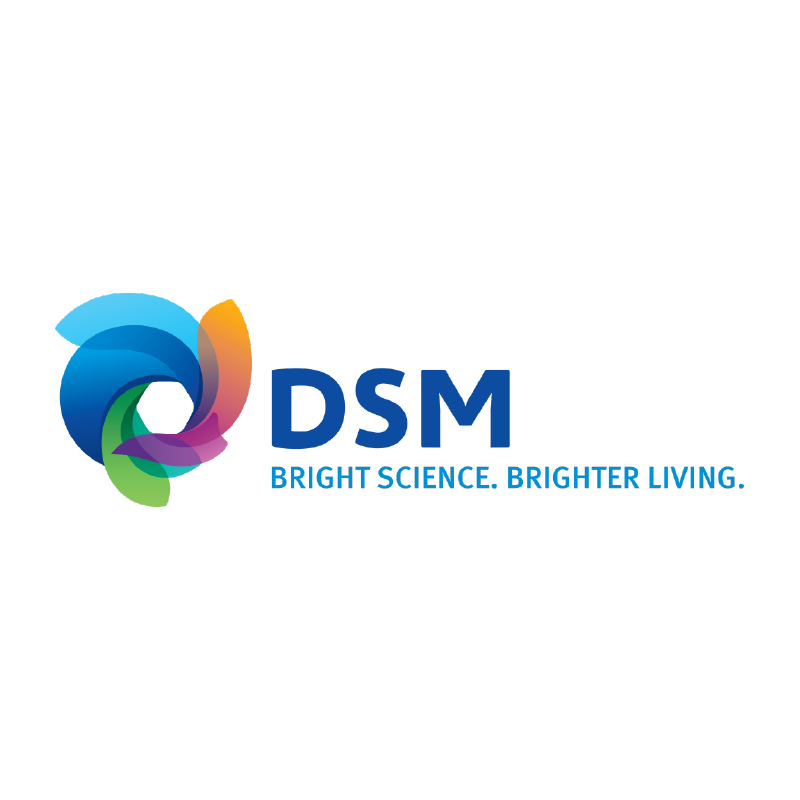 DSM_MasterLogo_square-01.png