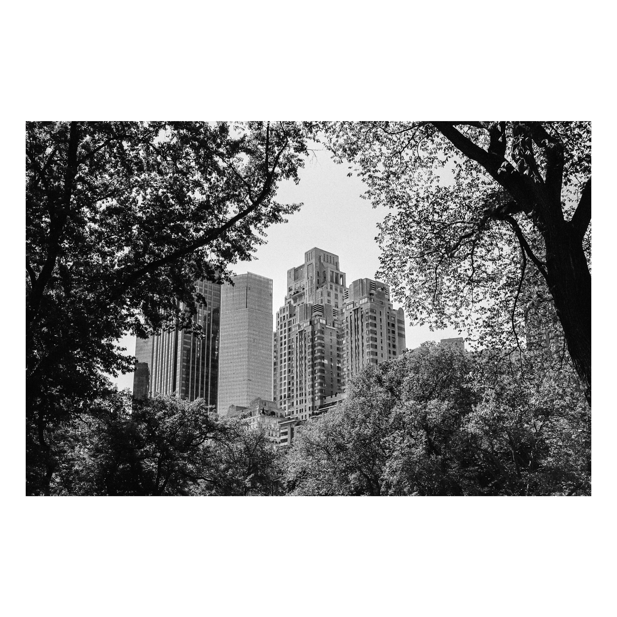 New York City, September 2016.