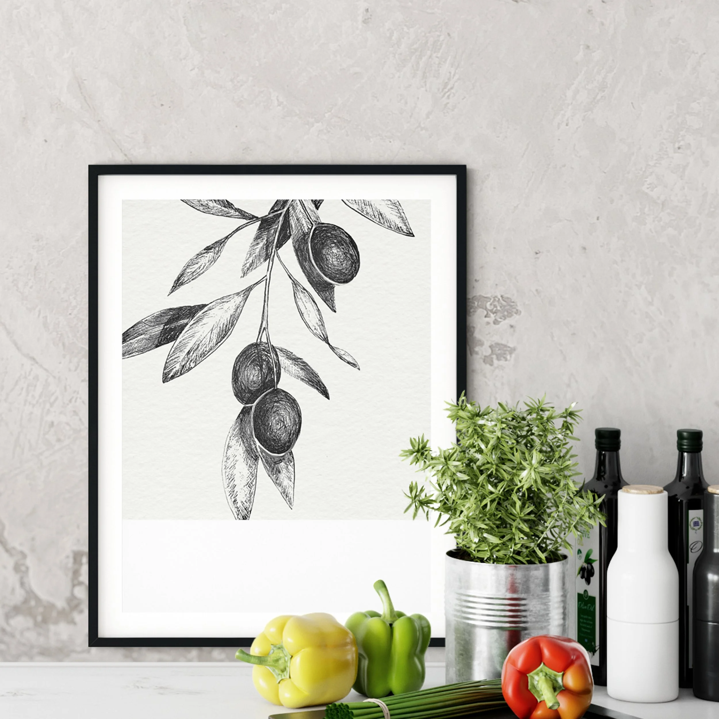 Olive Tree Branch #2 - Botanical Pen and Ink Illustration Art Print - Transitional Mediterranean Interior Design Wall Art