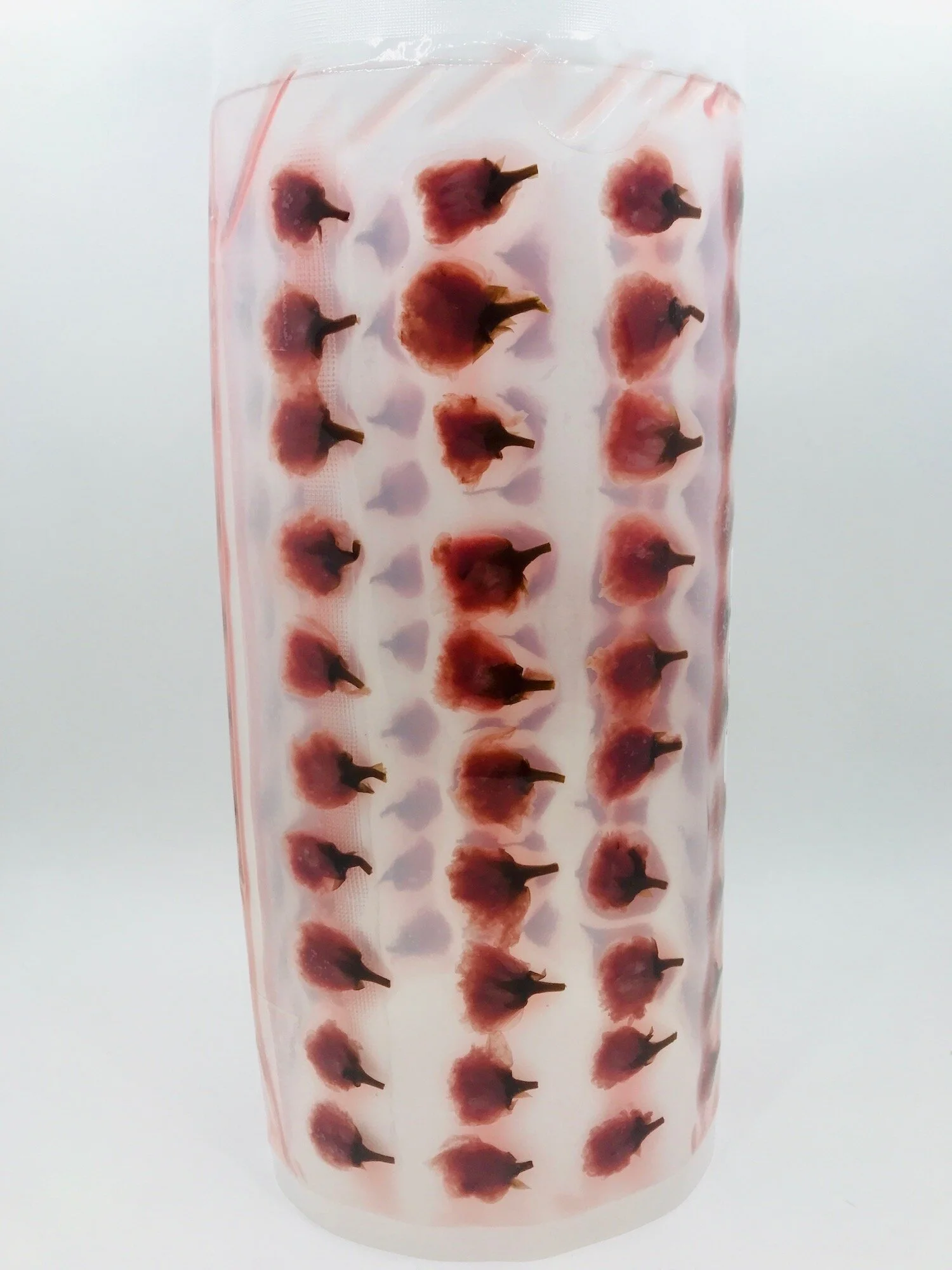 Sheet of 100 Cherry Blossom Flowers